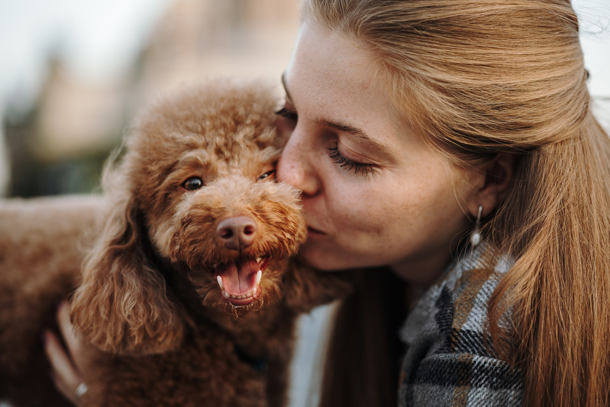 Барни и его семья. Фотограф — Анималист | Санкт-Петербург