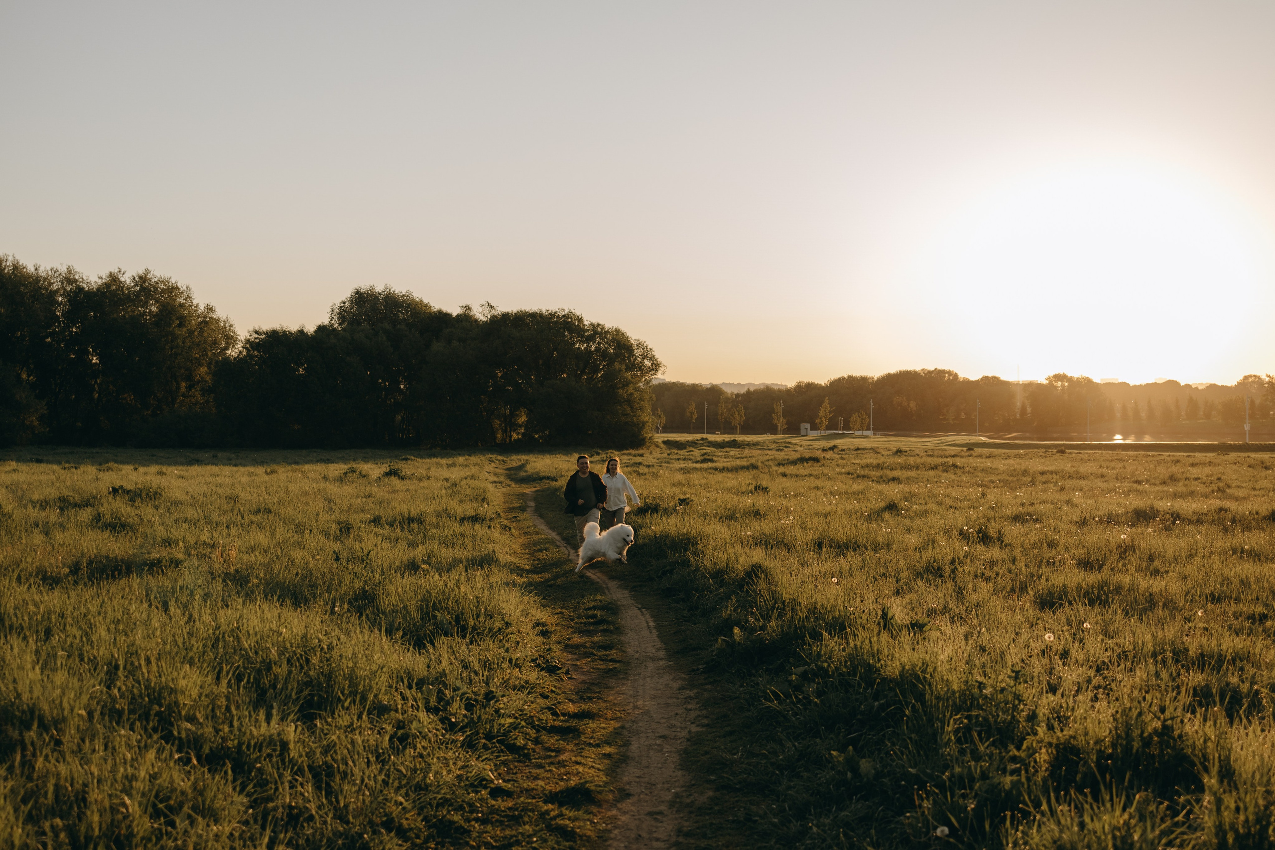 Танго и его семья. Фотограф — Анималист | Санкт-Петербург