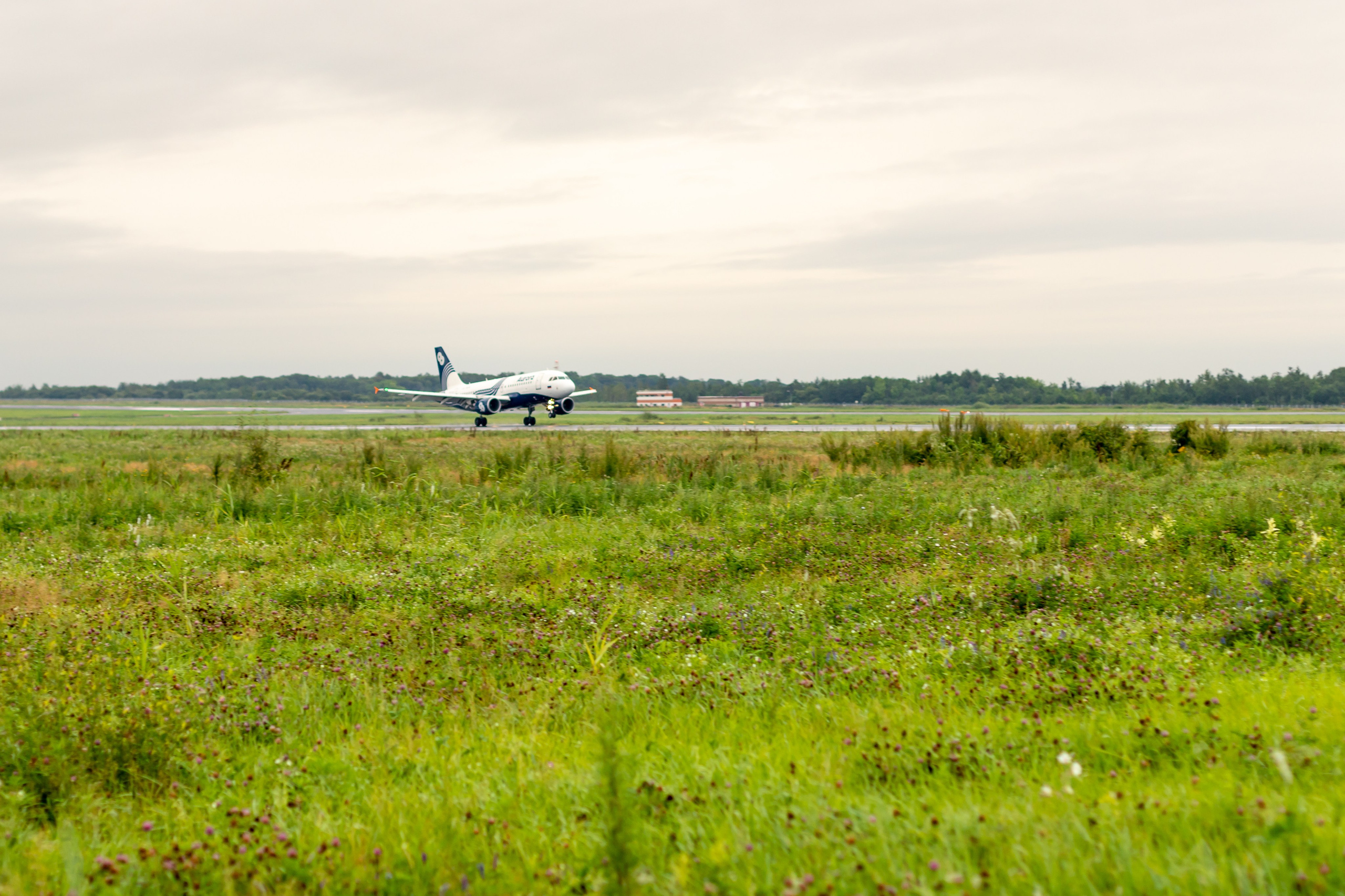 Споттинг 2024. Семейный и детский фотограф в Хабаровске Алевтина Проскурякова