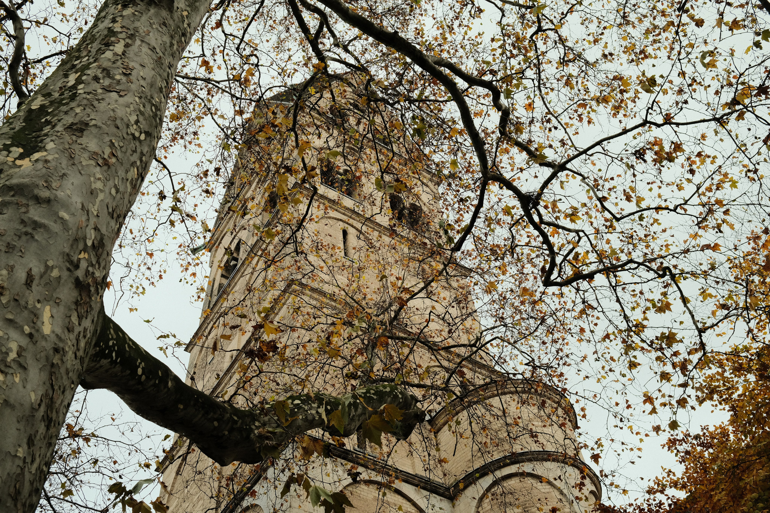 Кёльн — фотосессия и репортаж | Филипп Линзин. Репортажный и портретный фотограф в Санкт-Петербурге Филипп Линзин