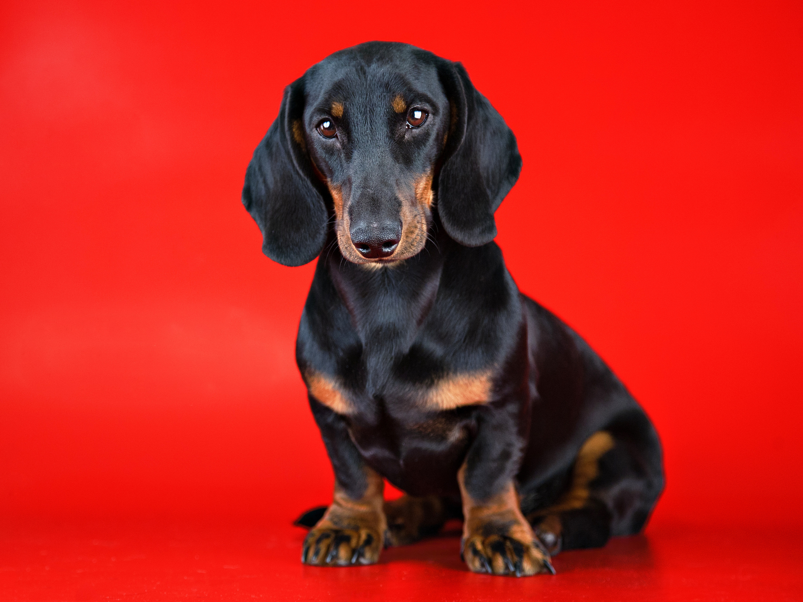 Портреты. Фотограф Ольга Мурзина