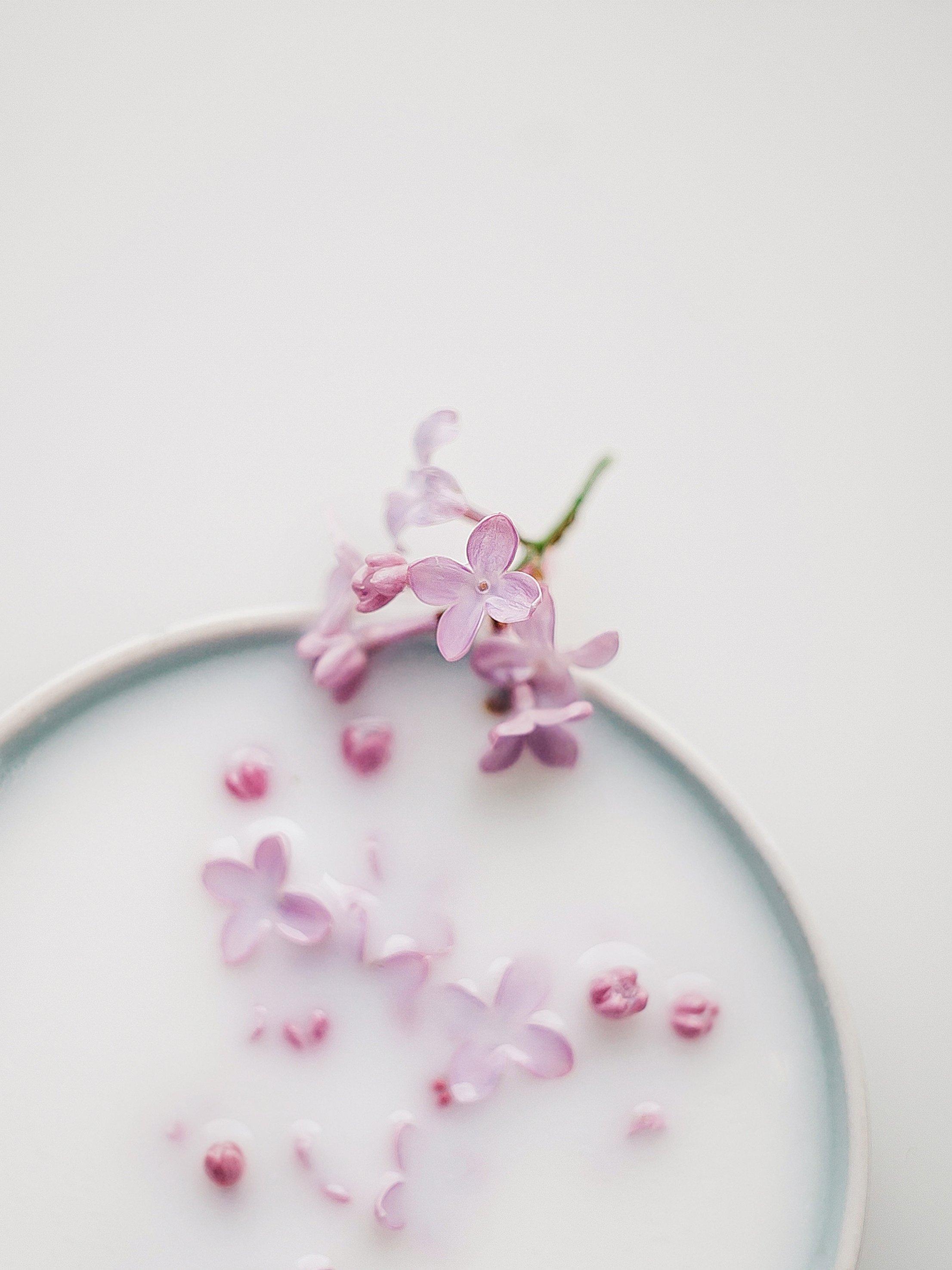 Натюрморт. Фотограф Ольга Мурзина