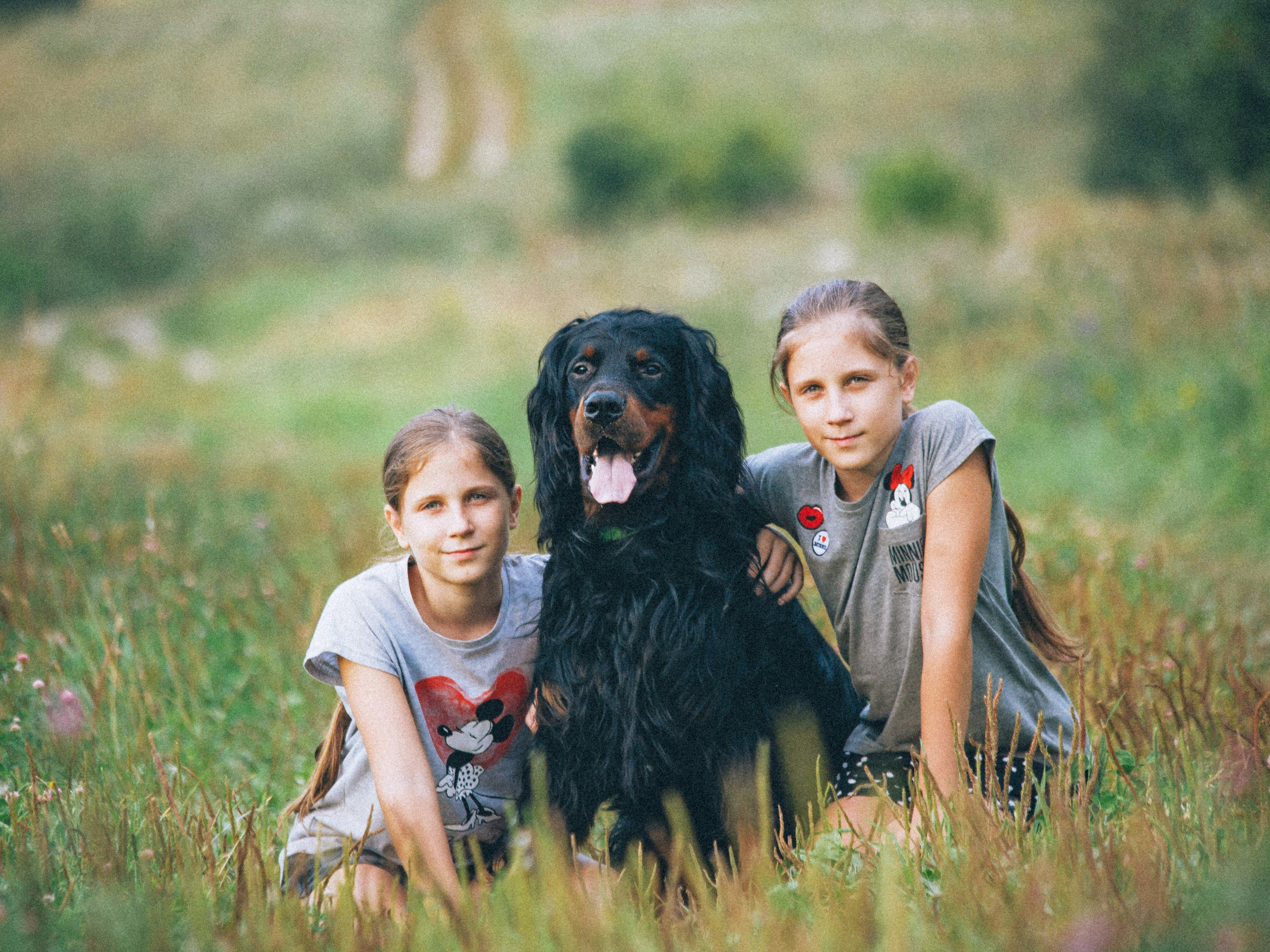 Дети & Собаки. Фотограф Ольга Мурзина