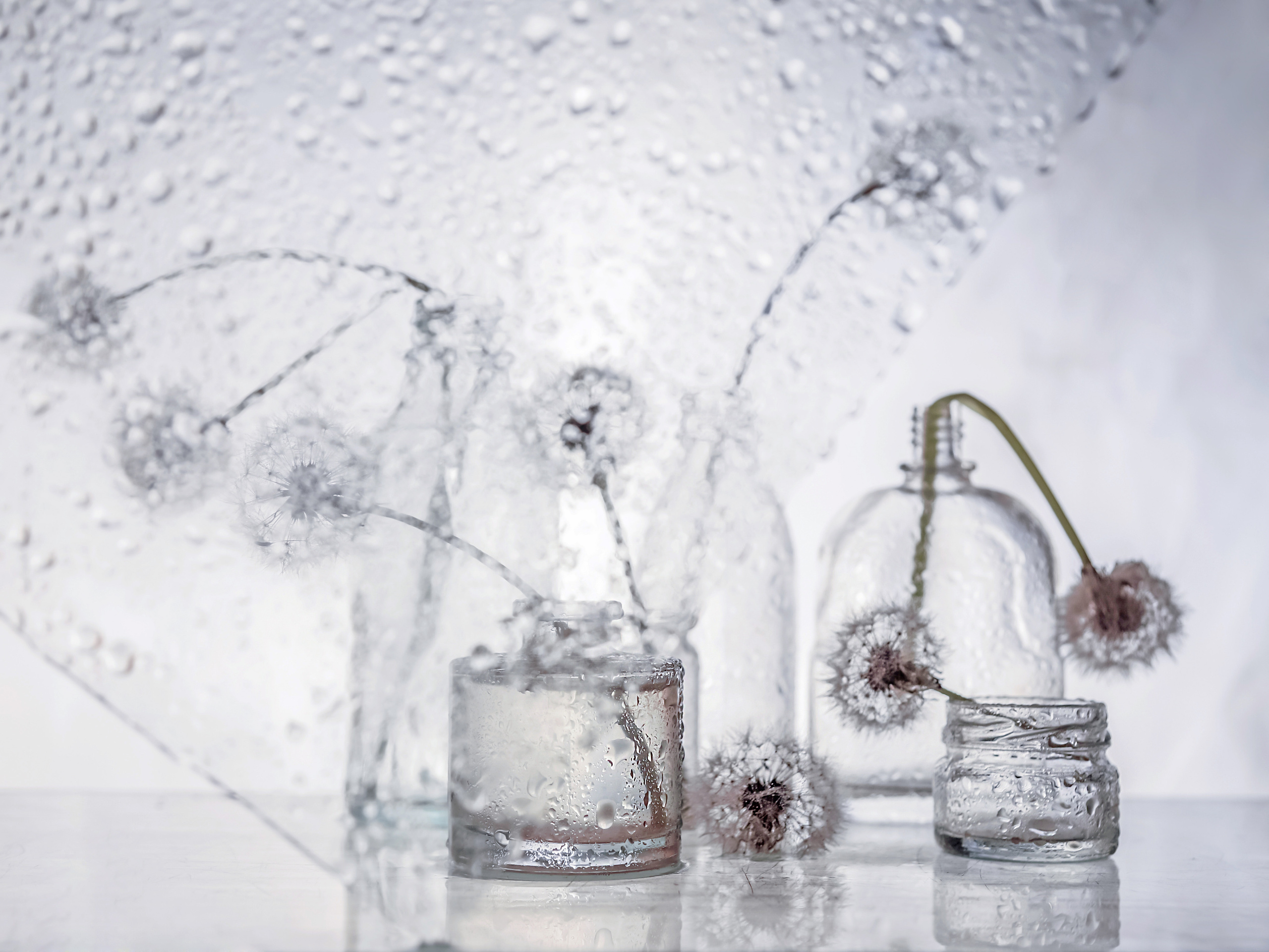 Натюрморт. Фотограф Ольга Мурзина