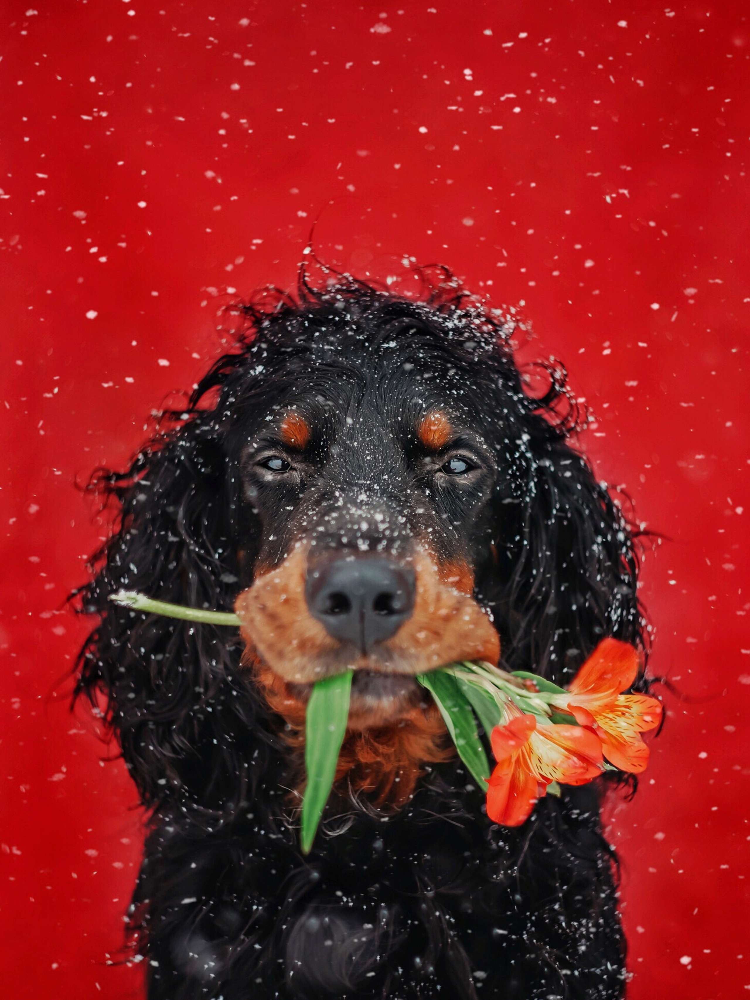 Портреты. Фотограф Ольга Мурзина