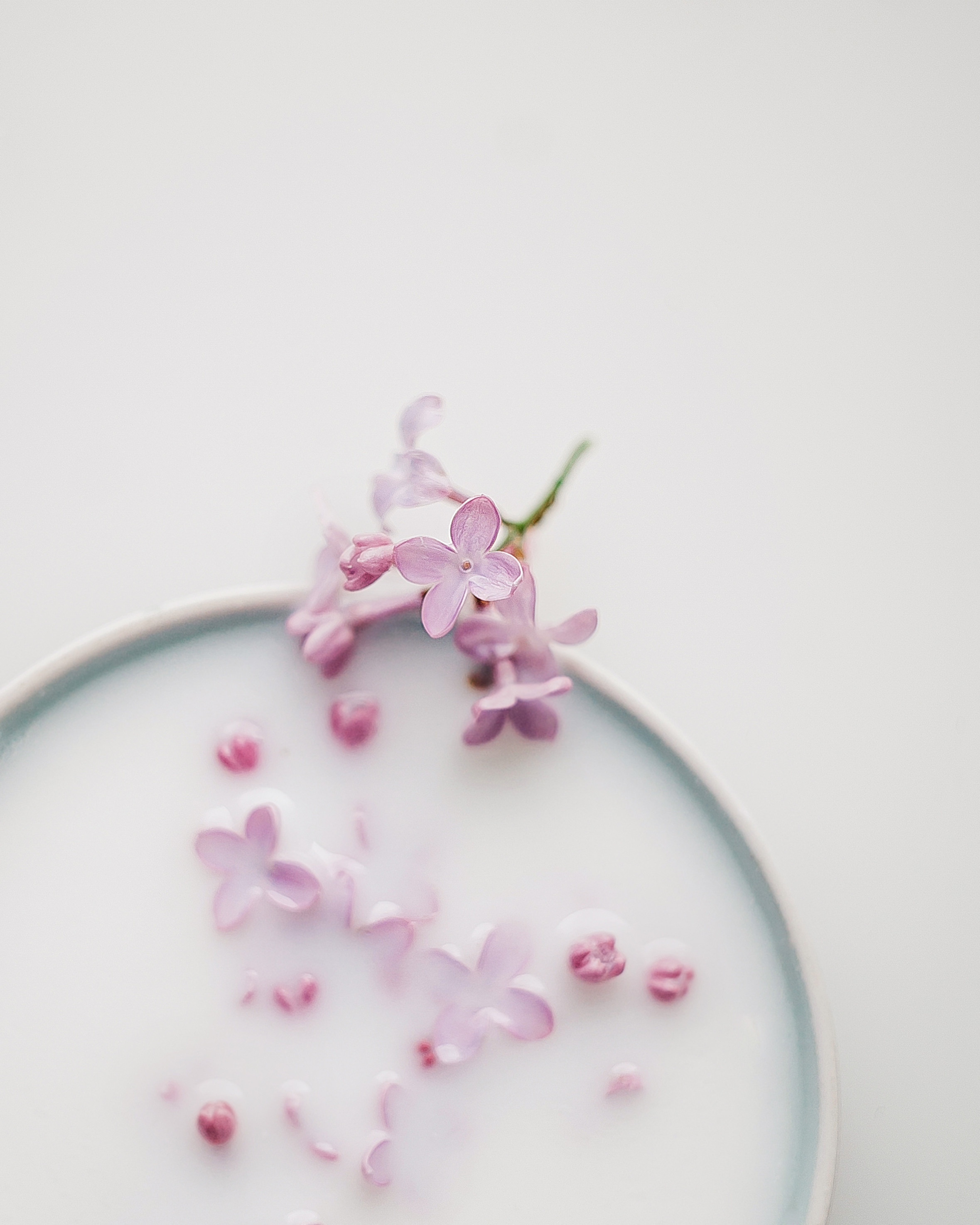 Фотограф Ольга Мурзина