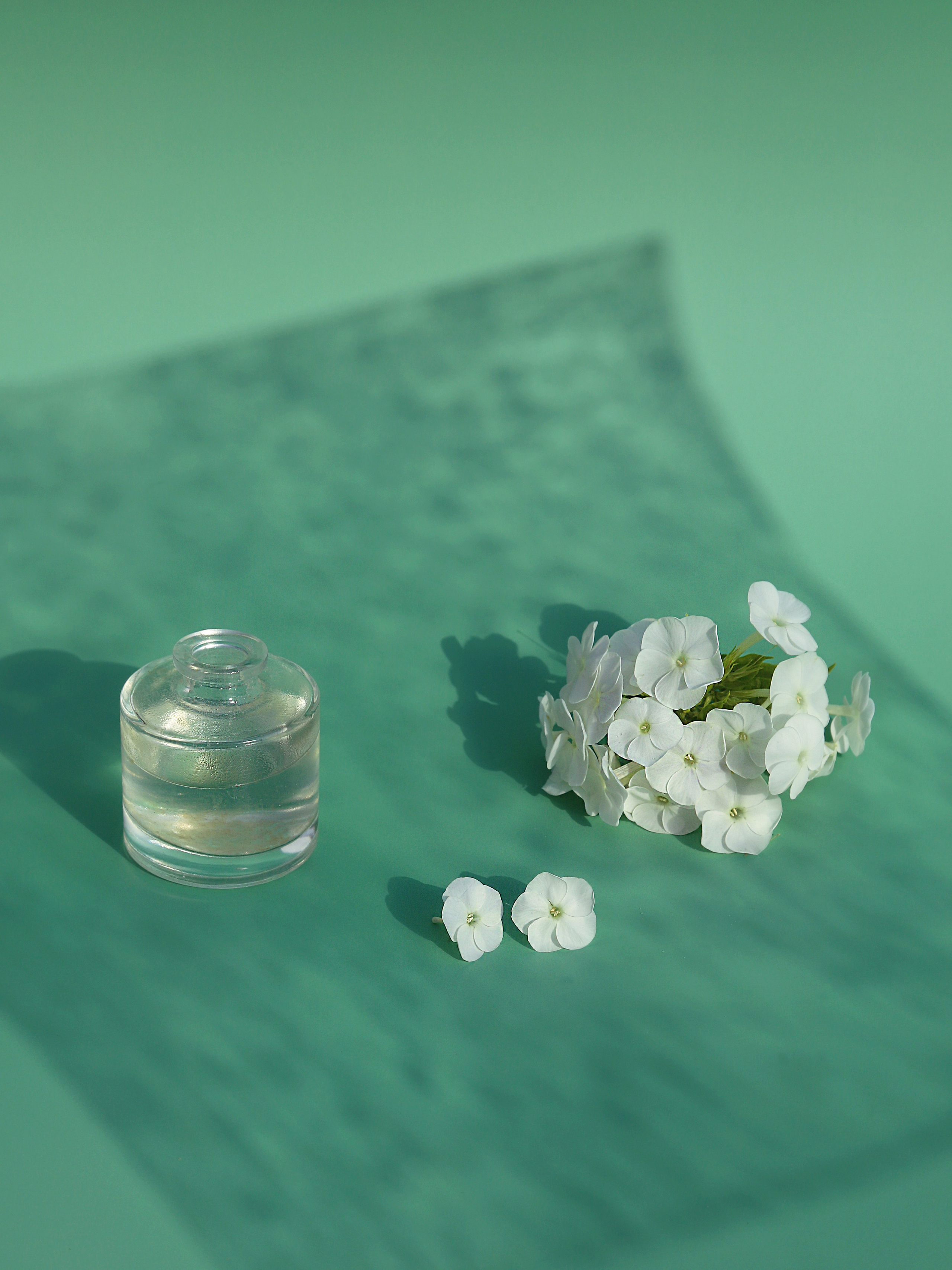 Натюрморт. Фотограф Ольга Мурзина