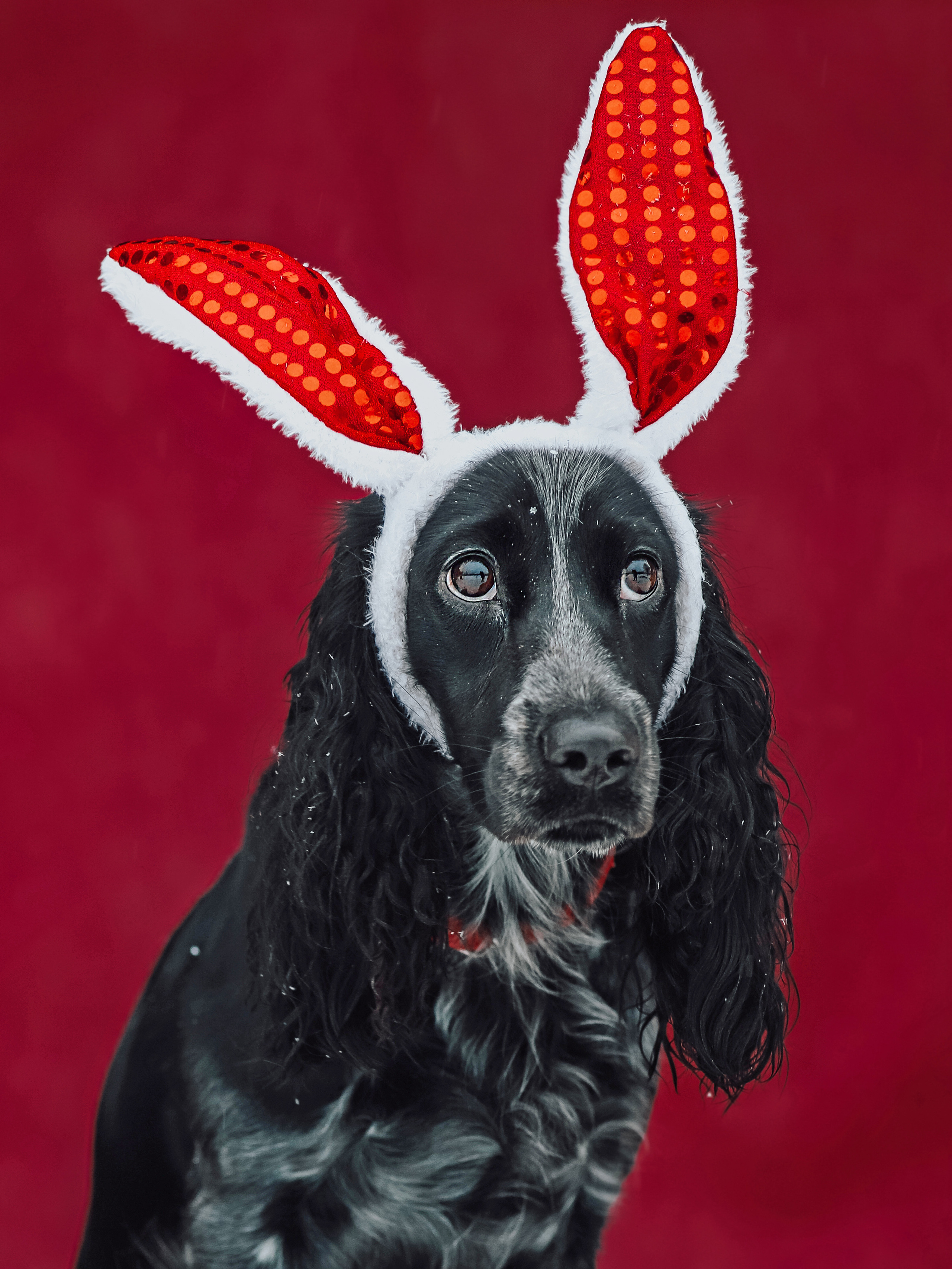 Портреты. Фотограф Ольга Мурзина