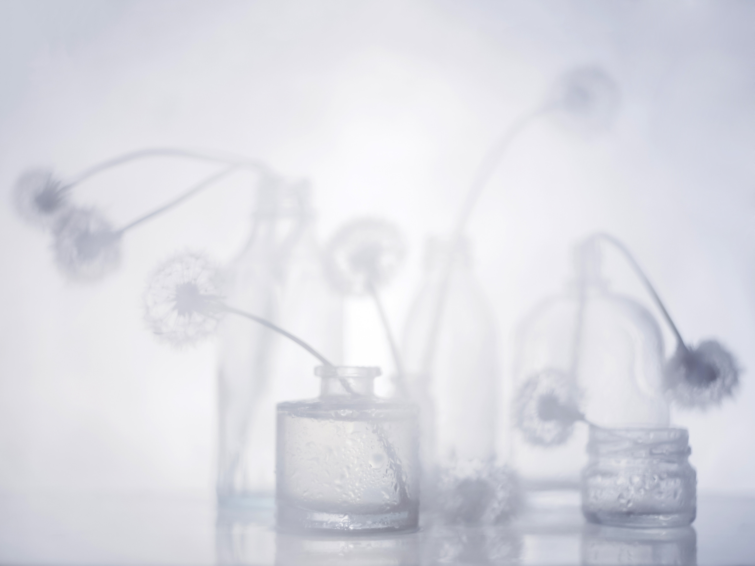 Фотограф Ольга Мурзина