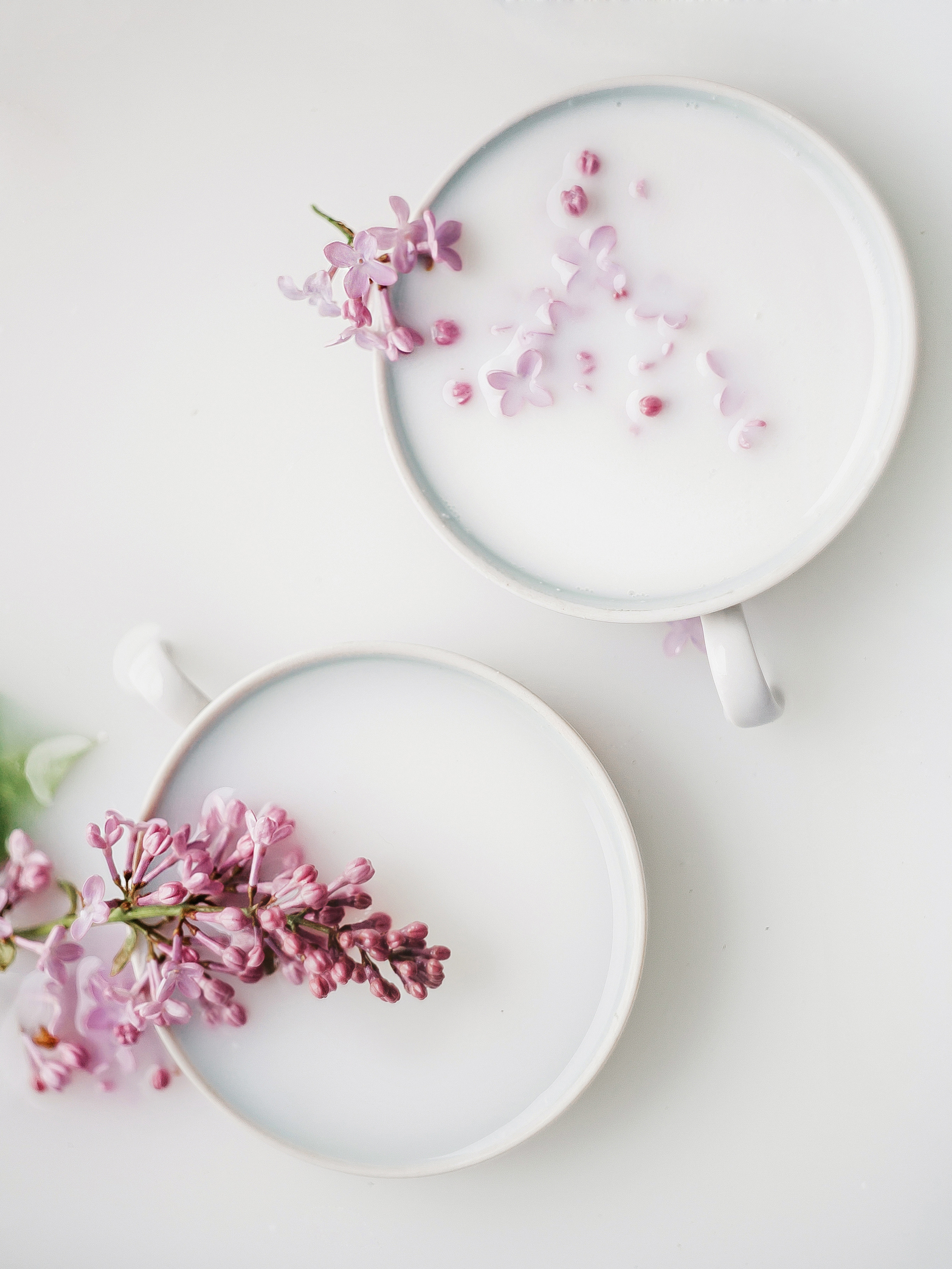 Натюрморт. Фотограф Ольга Мурзина