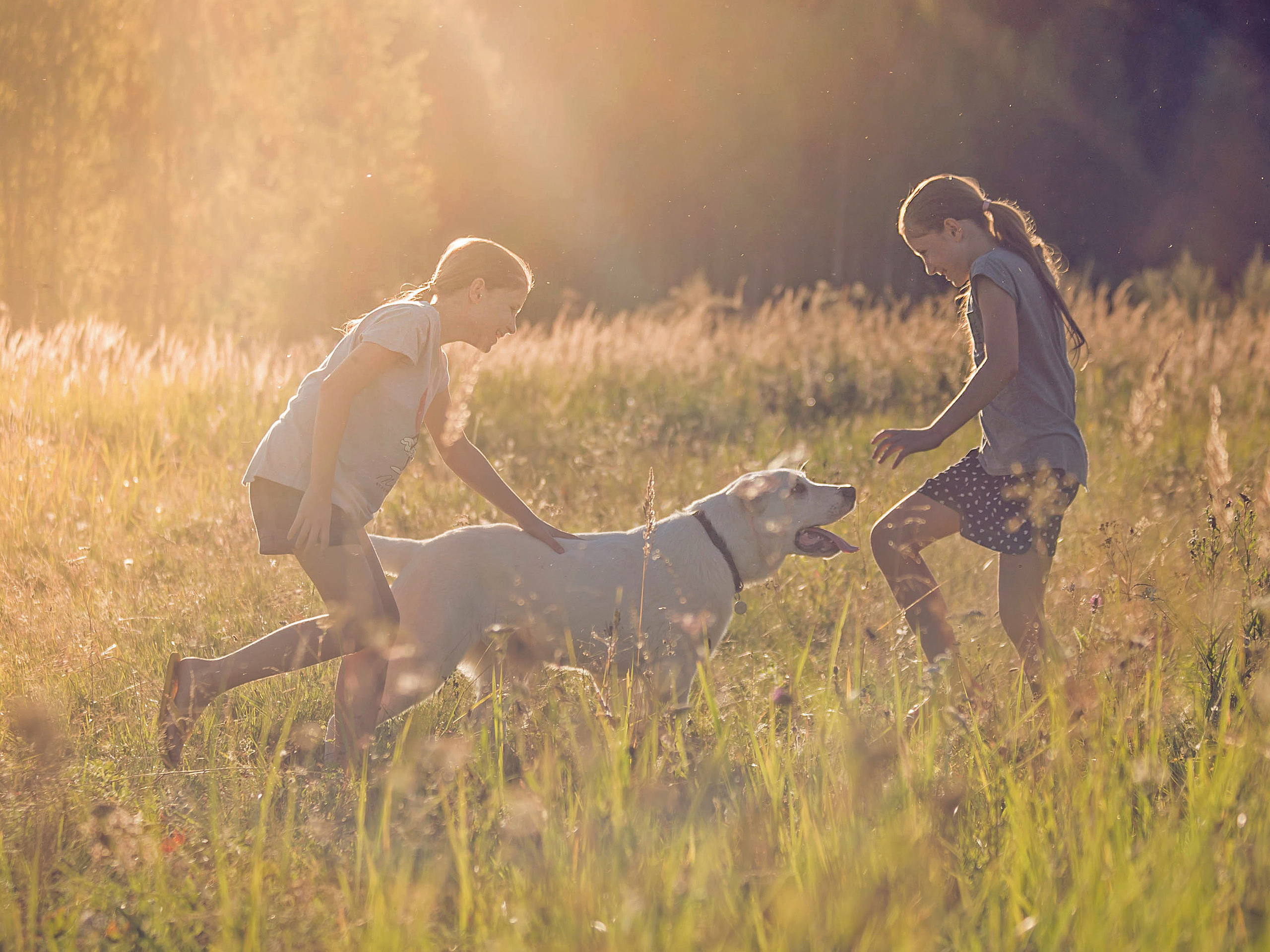 Дети & Собаки. Фотограф Ольга Мурзина