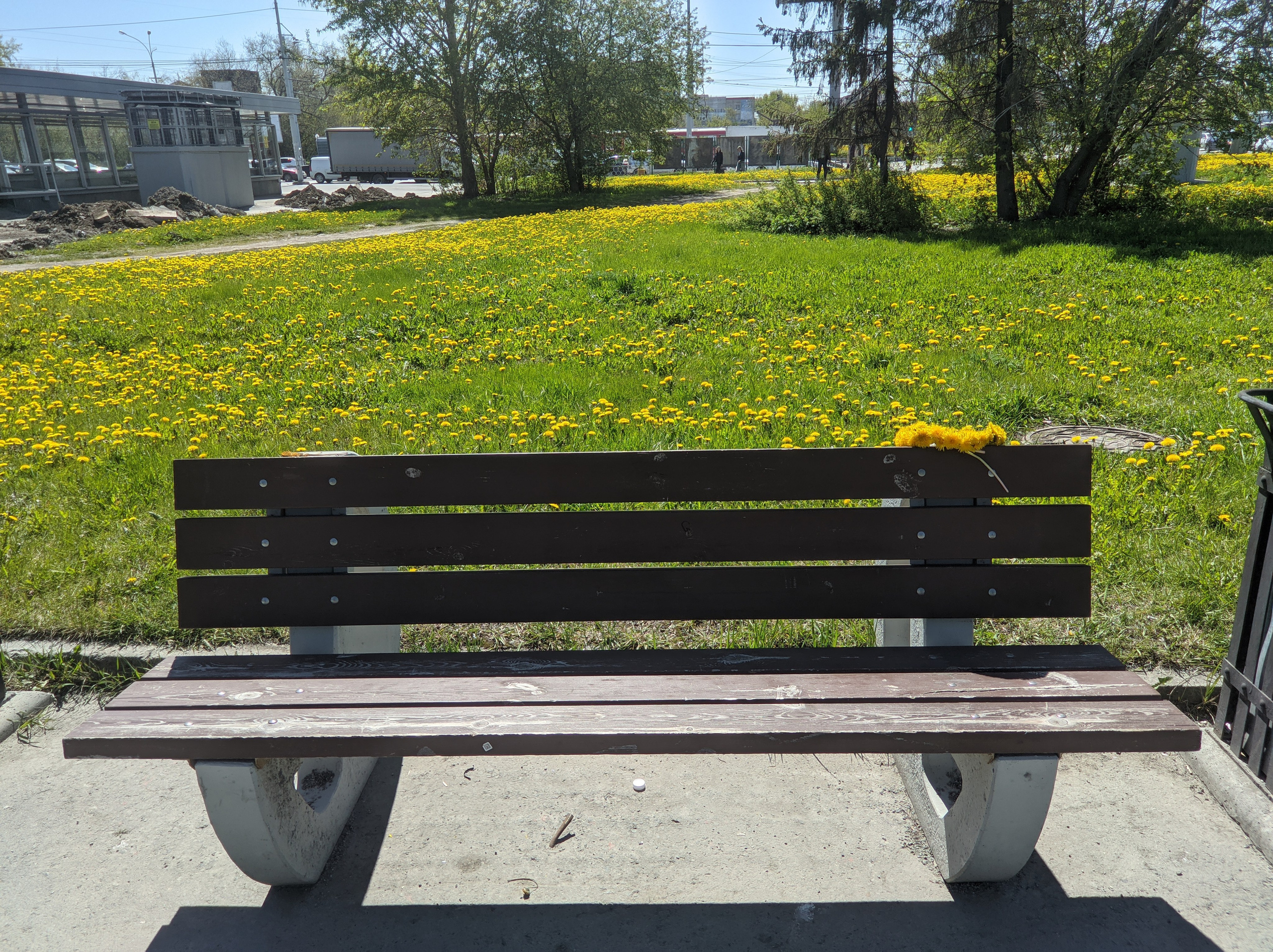 Солнечный. Фотограф в Санкт-Петербурге Березовский Даниил