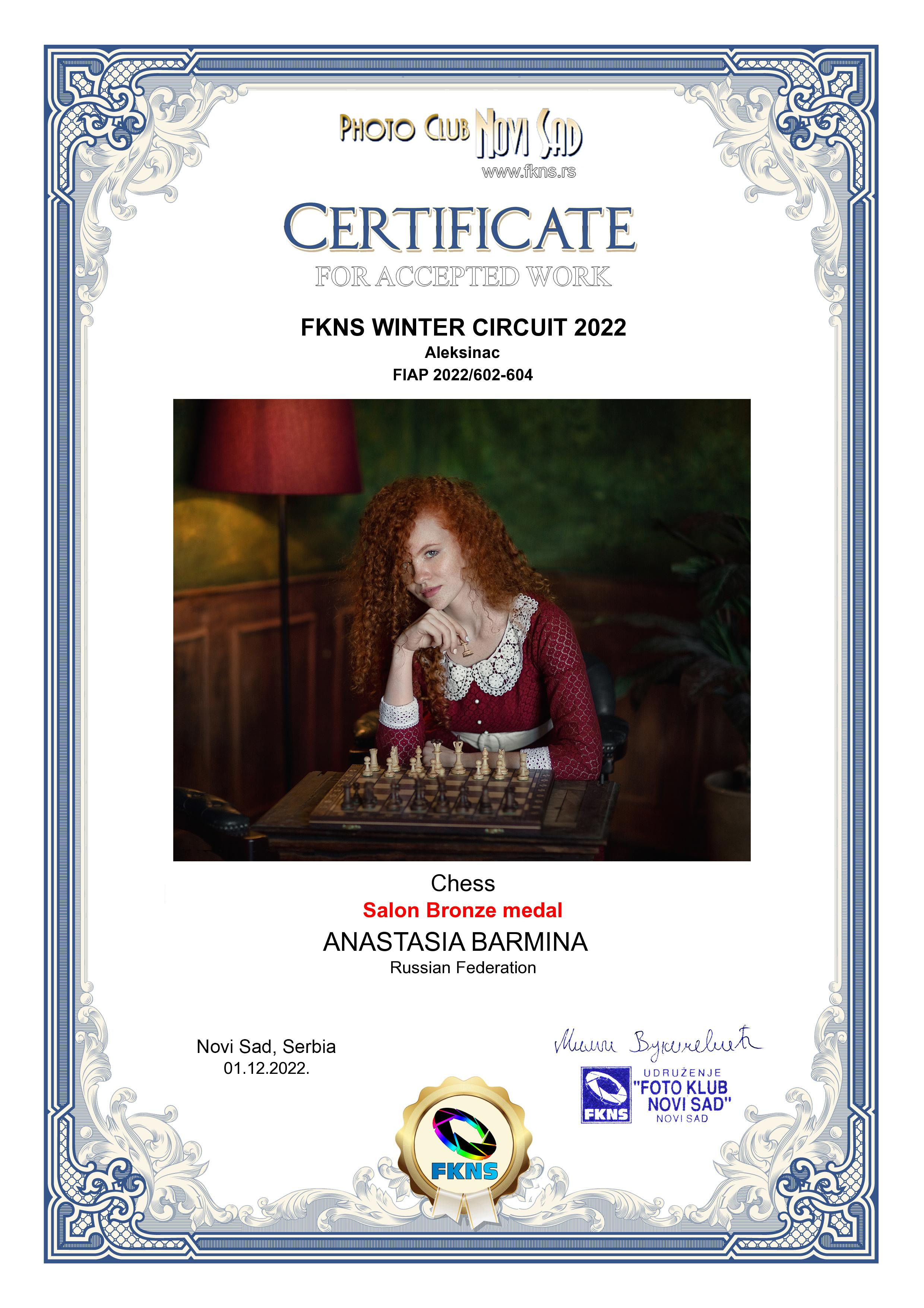 Достижения. Фотограф Бармина Анастасия | Екатеринбург