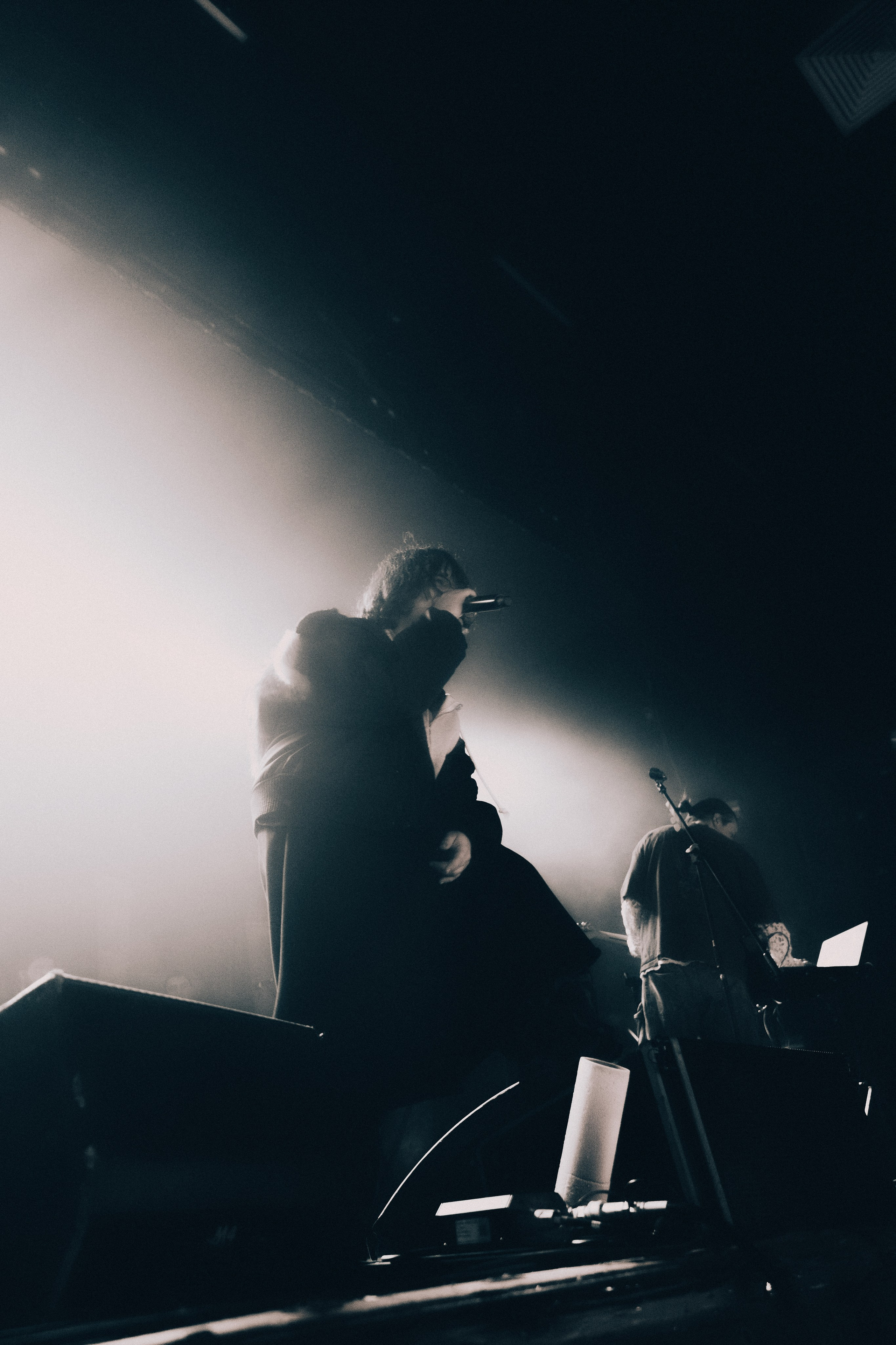 SALUKI. PASHAHARCE PHOTOGRAPHER & VIDEOGRAPHER