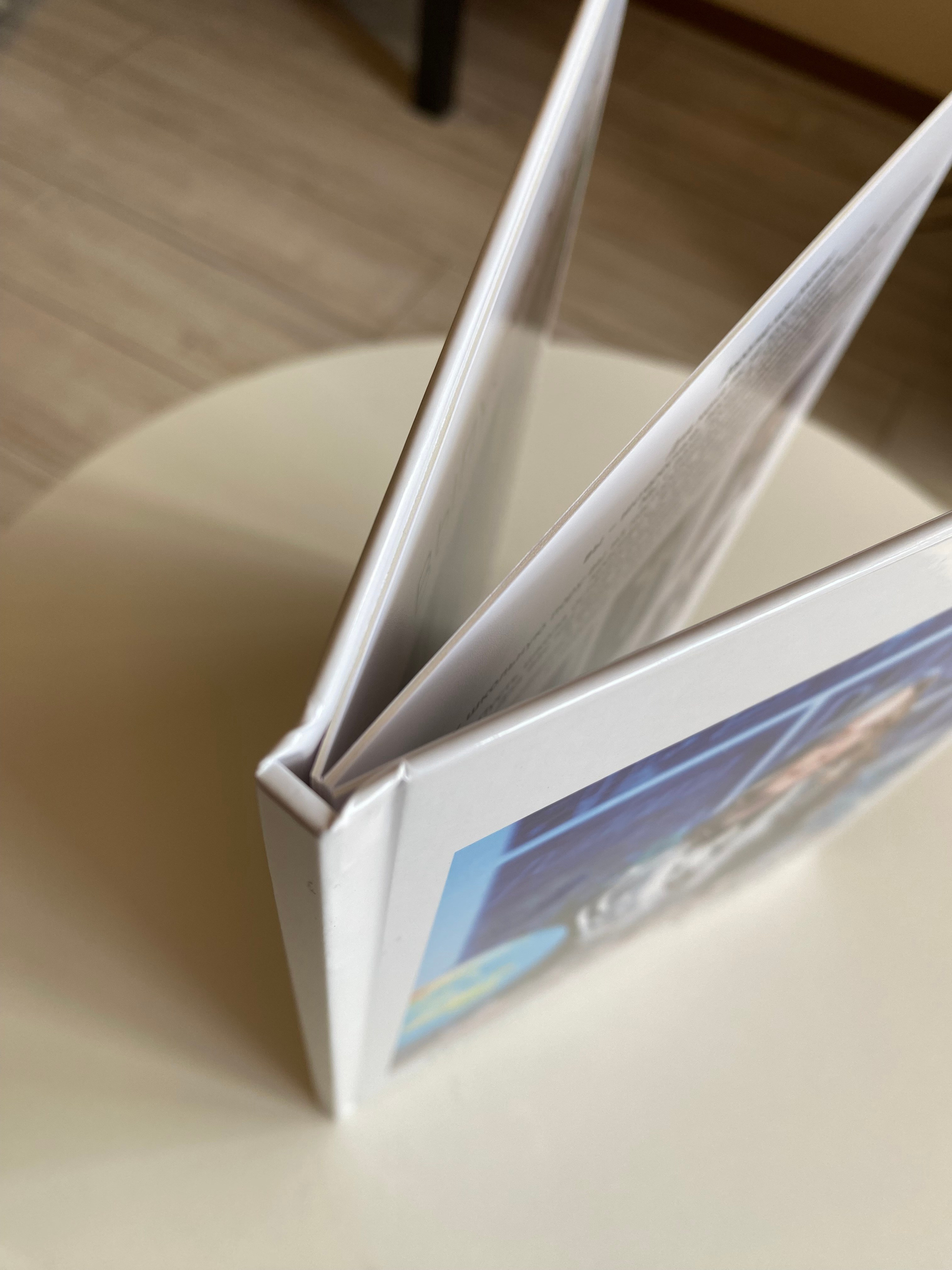 Два разворота. Выпускные альбомы в Томске. Леднева Олеся