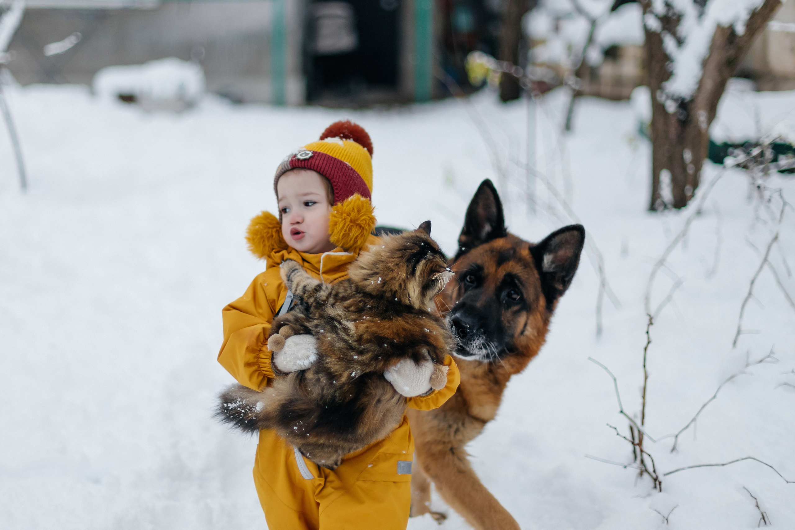 ПЕРВЫЙ СНЕГ. Семейный и детский фотограф в Крыму Екатерина Швец