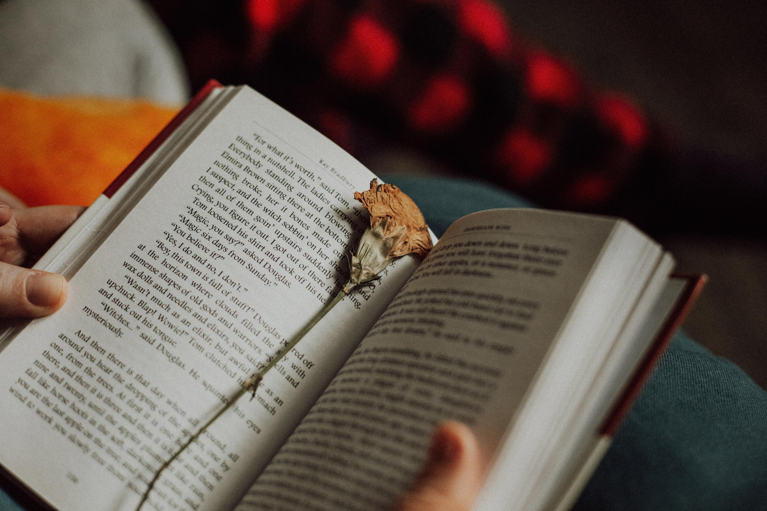 Love. Семейный фотограф в Минске и РБ Стеликова Анна