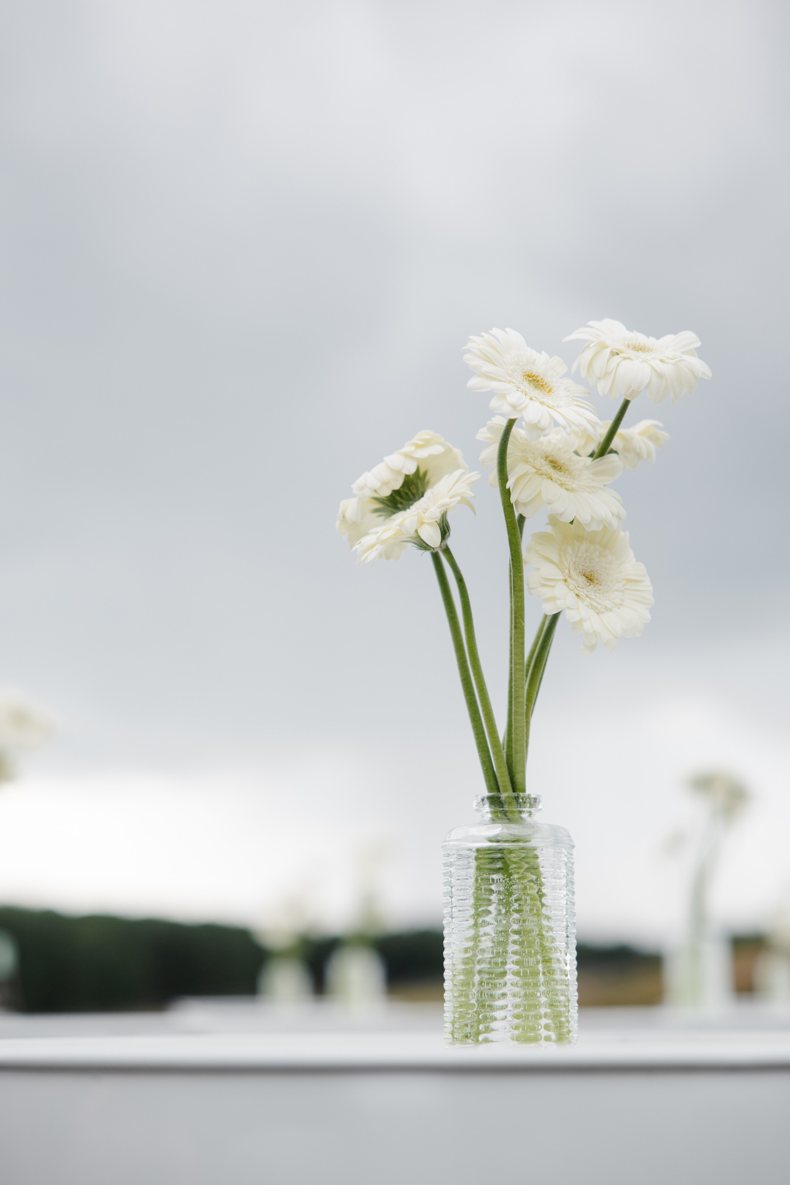 ГЕНДЕР ПАТИ. Фотограф в Красноярске