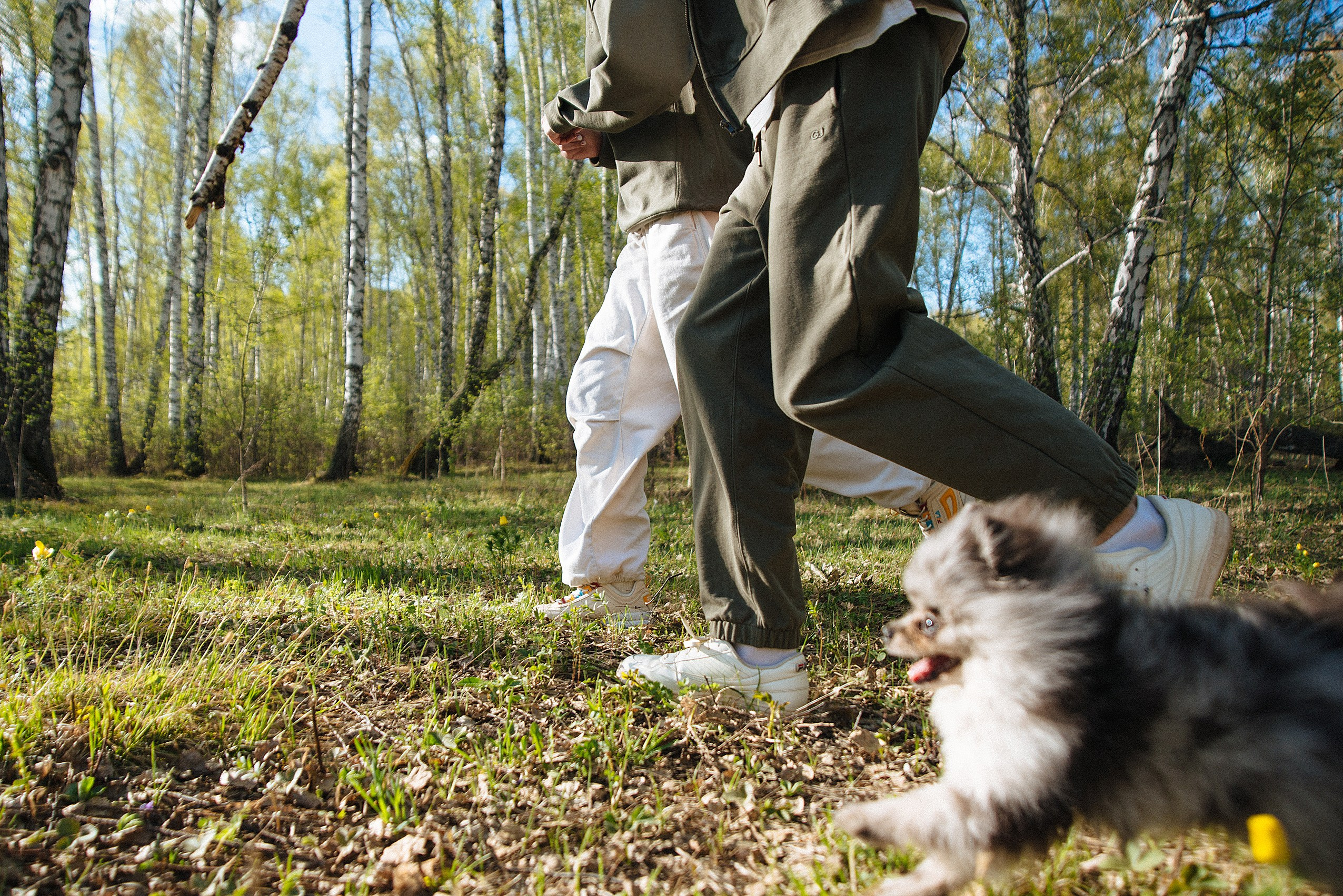 Прогулочная фотосессия lovestory с собачкой. Семейный фотограф Дарья Едапина Новосибирск. Фотограф Дарья Едапина Новосибирск
