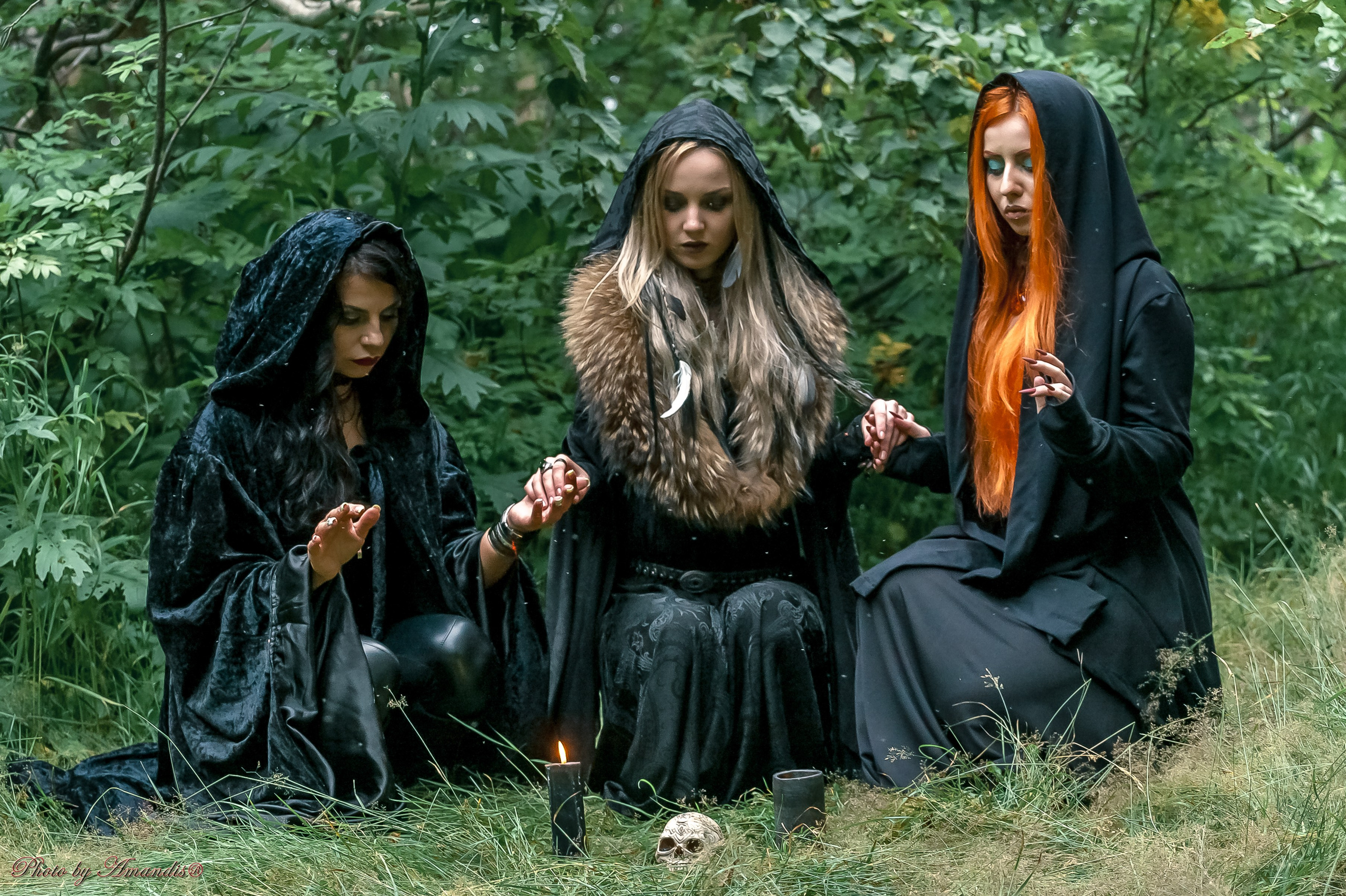 The witches. Репортажная съемка в Москве и области. Анималистика
