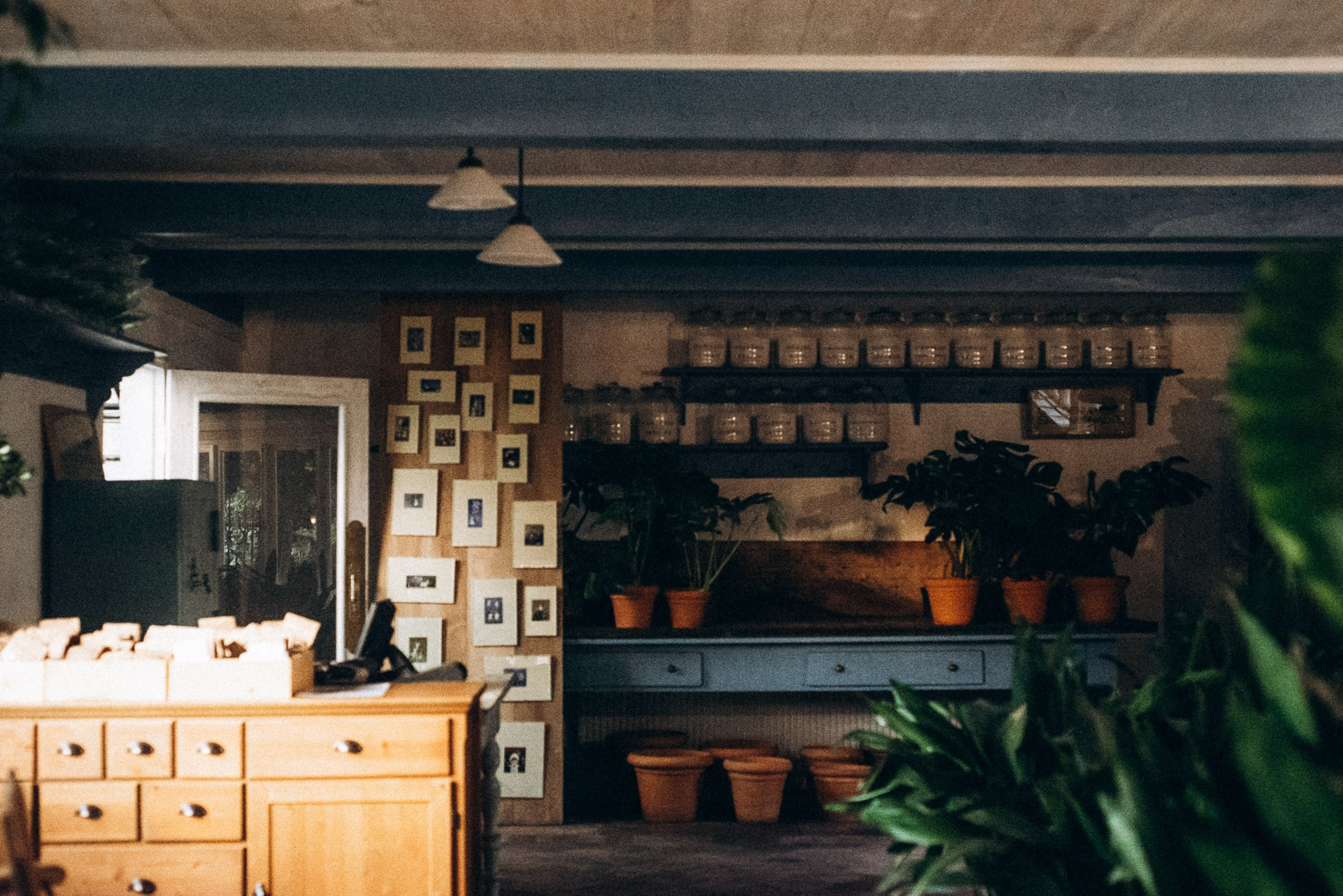 Сад «Гардения» Зураба Шеварднадзе в Тбилиси 🇬🇪. Anita_photo