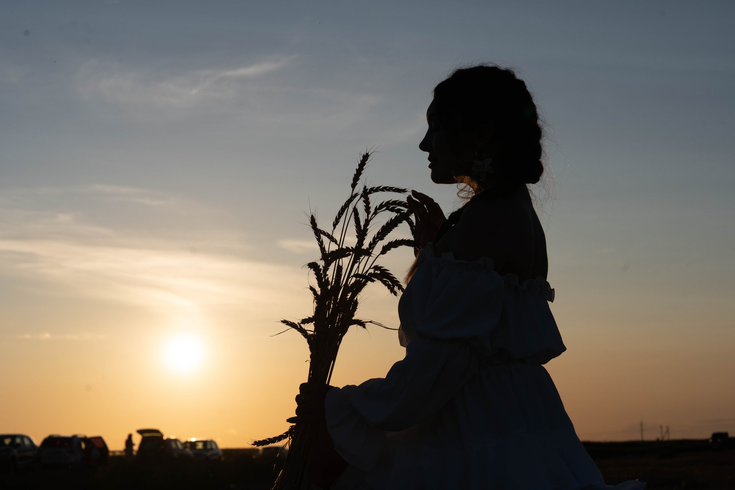 Пшеничные поля. Главная