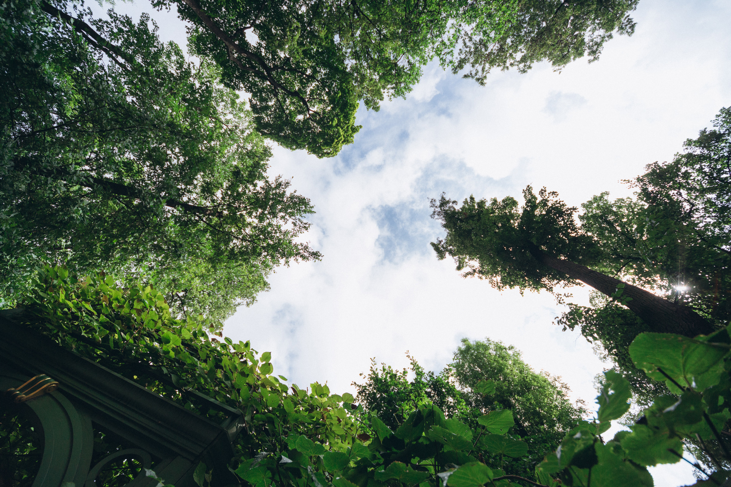 Свадьба. Свадебный и семейный фотограф в Санкт-Петербурге Яцына Юрий. Видеоопер