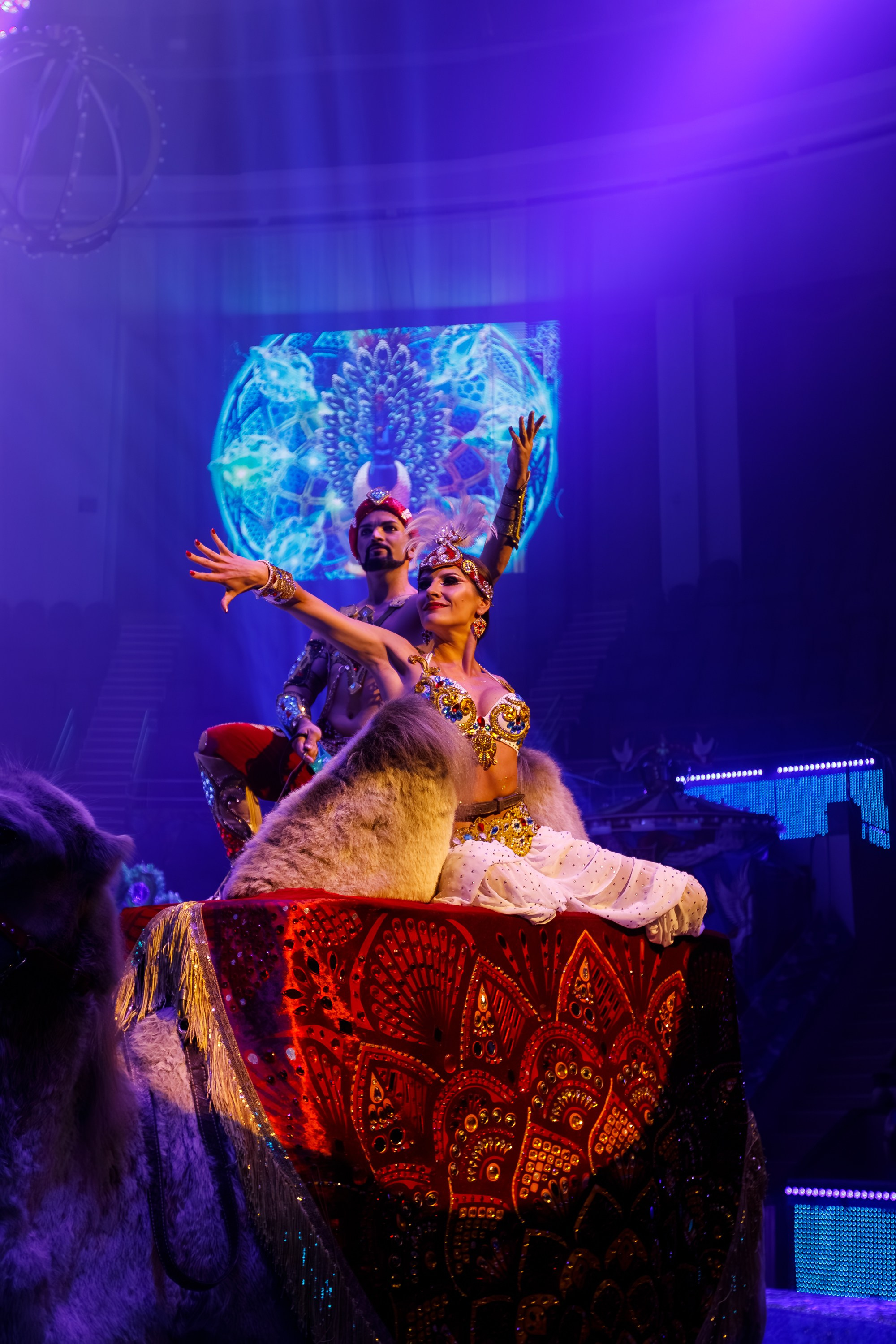 Сочинский росгорцирк Шоу Гии Эрадзе цирк. Профессиональный фотограф в Сочи Виктория Джой. Обучение