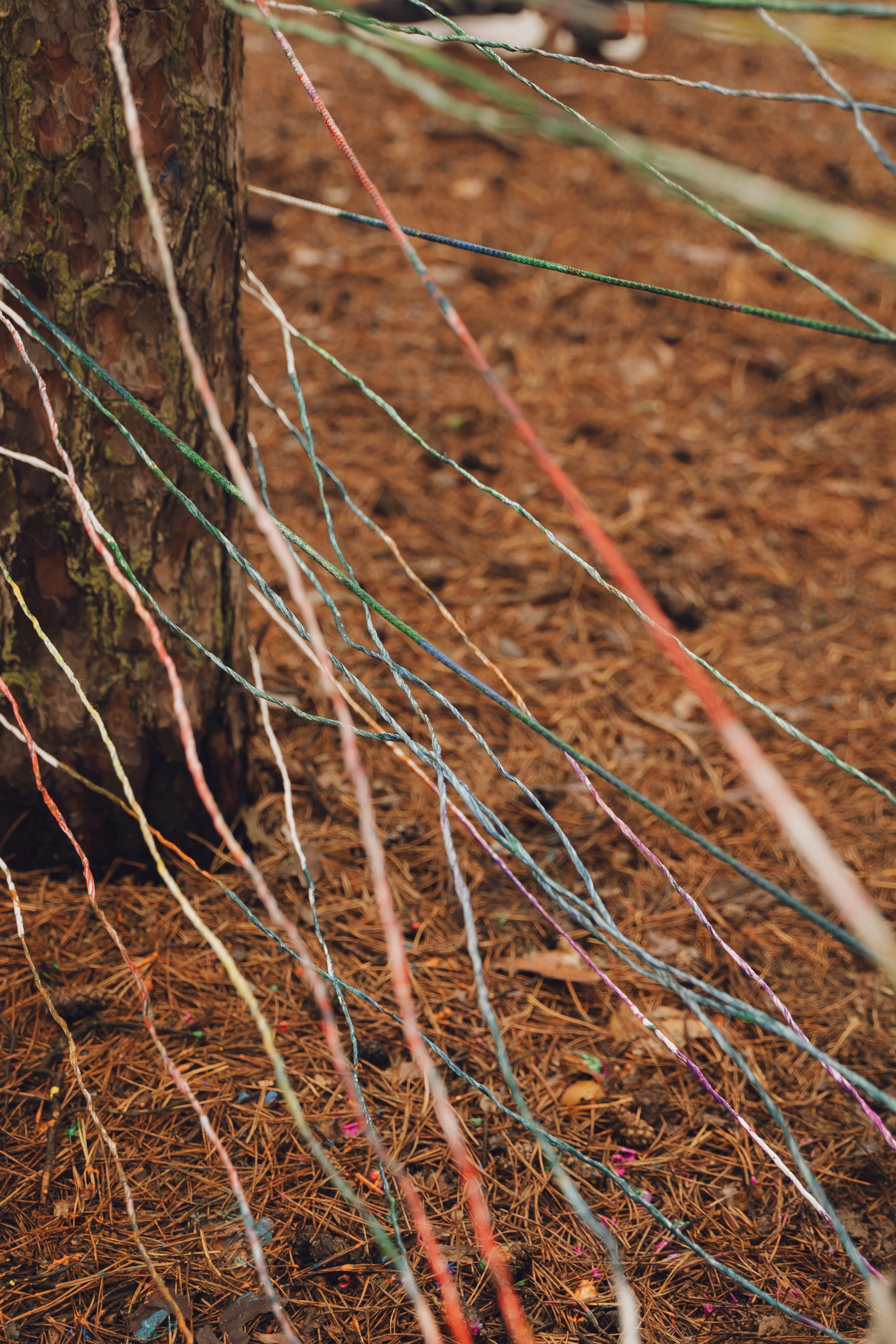 Палаточный форум CAMPot 2025. Фотограф Надежда Погребняк | Рязань | Москва