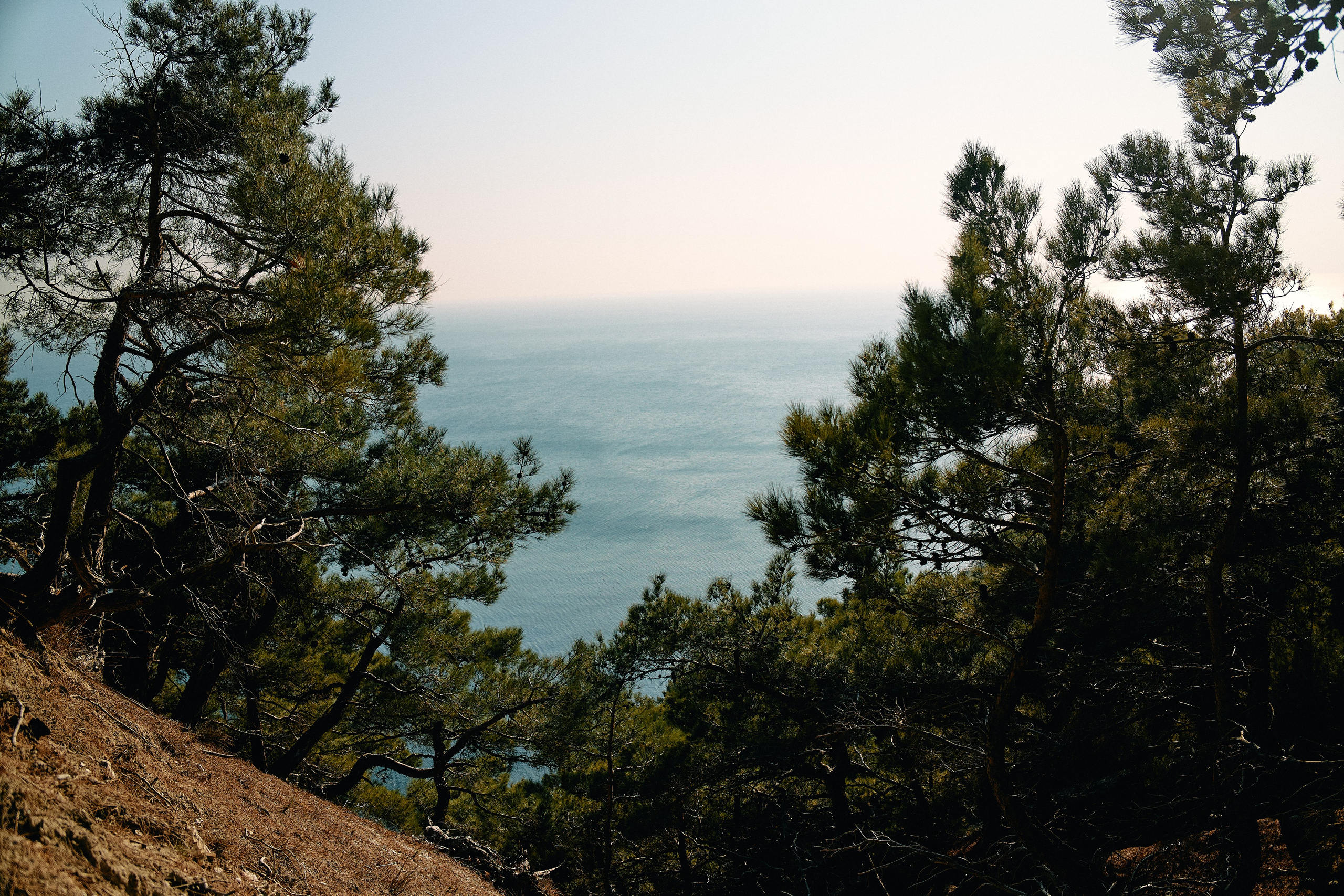 Юг России. Профессиональный Фотограф во Владимире, в Москве и в Суздале — Полина Романычева