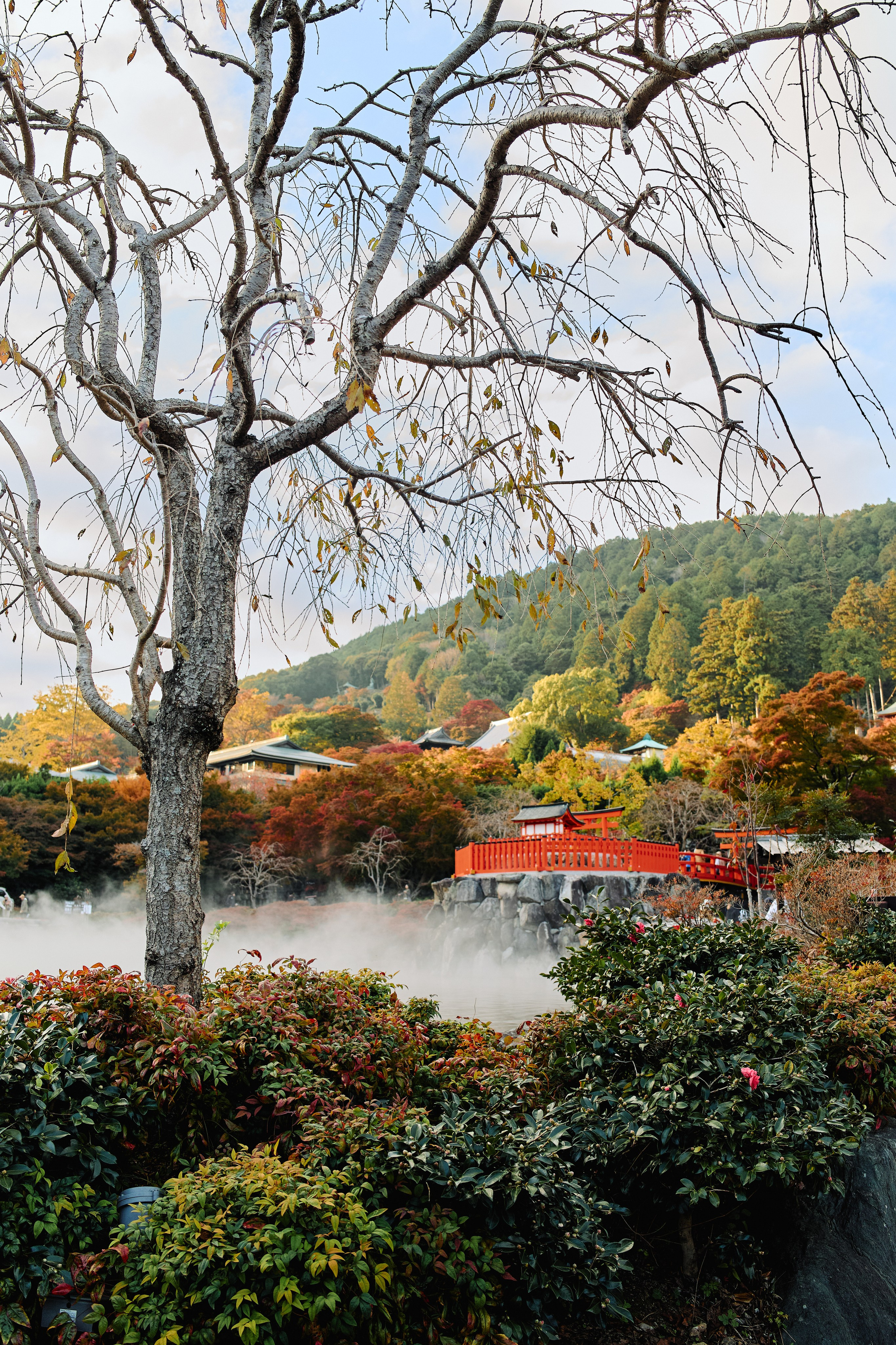 Япония. Профессиональный Фотограф во Владимире, в Москве и в Суздале — Полина Романычева