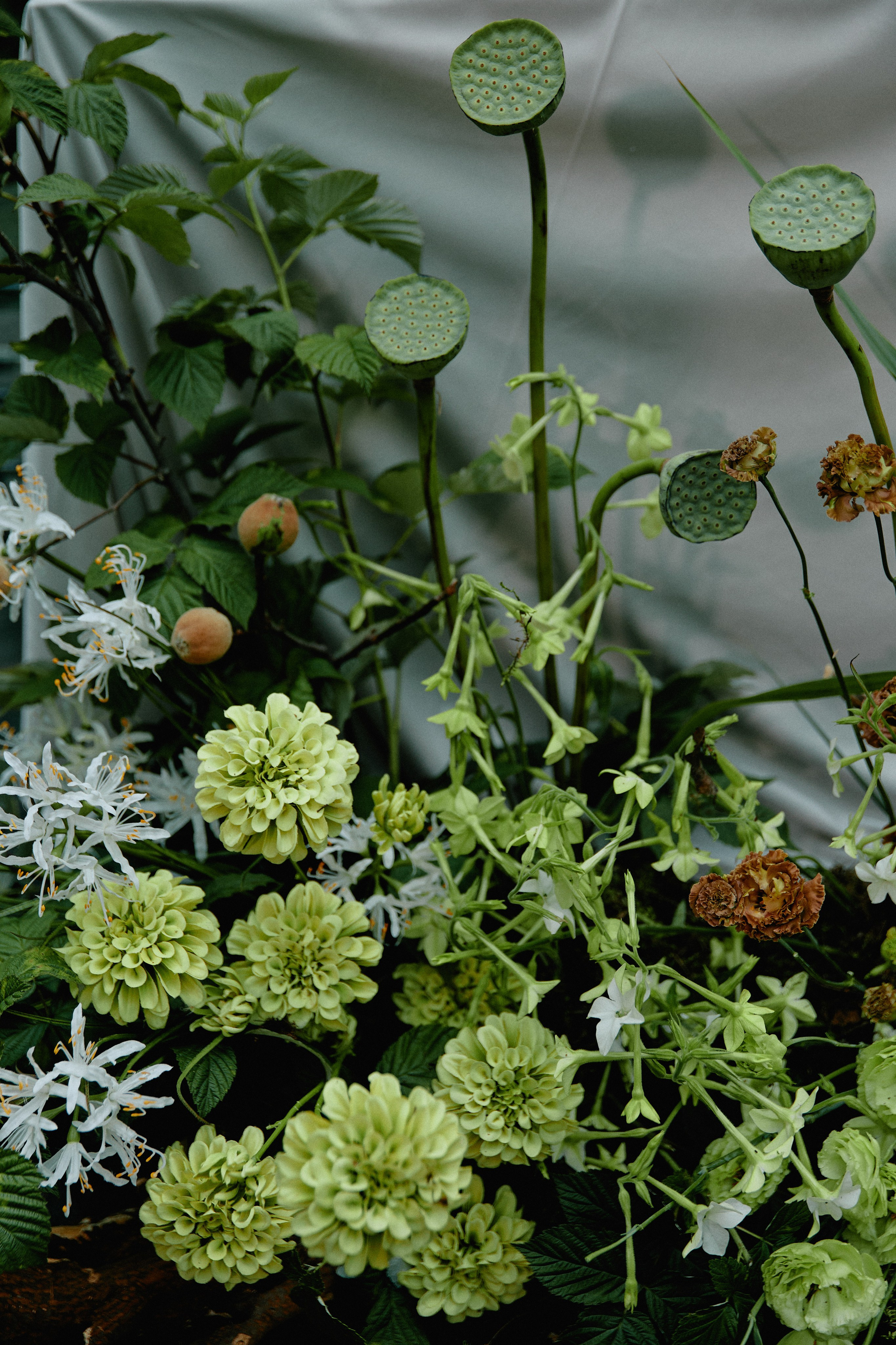 София и Сергей. Фотограф во Владимире, Москве и Суздале — Полина Романычева