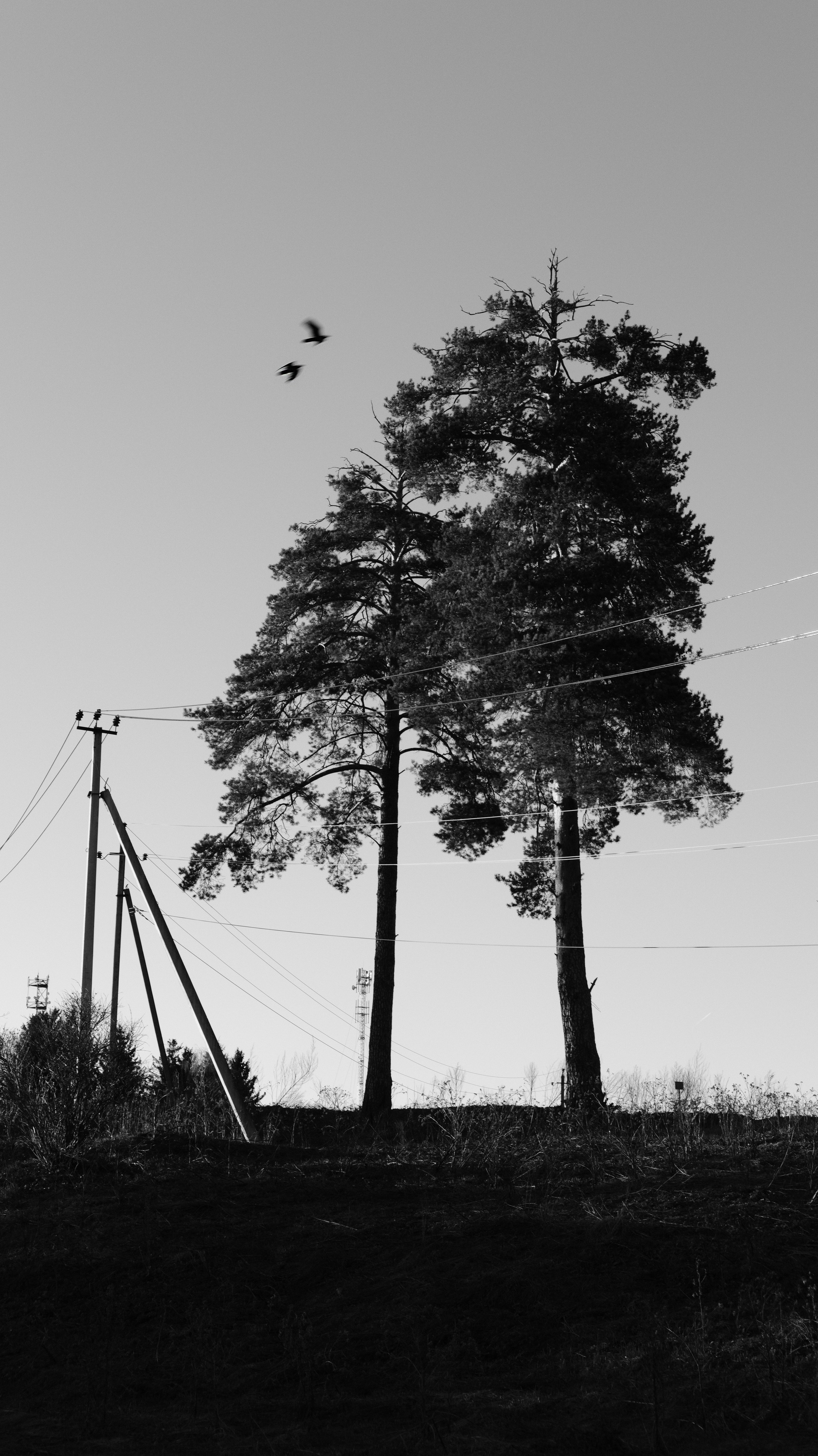 Природа. Фотограф Маргана Лоция