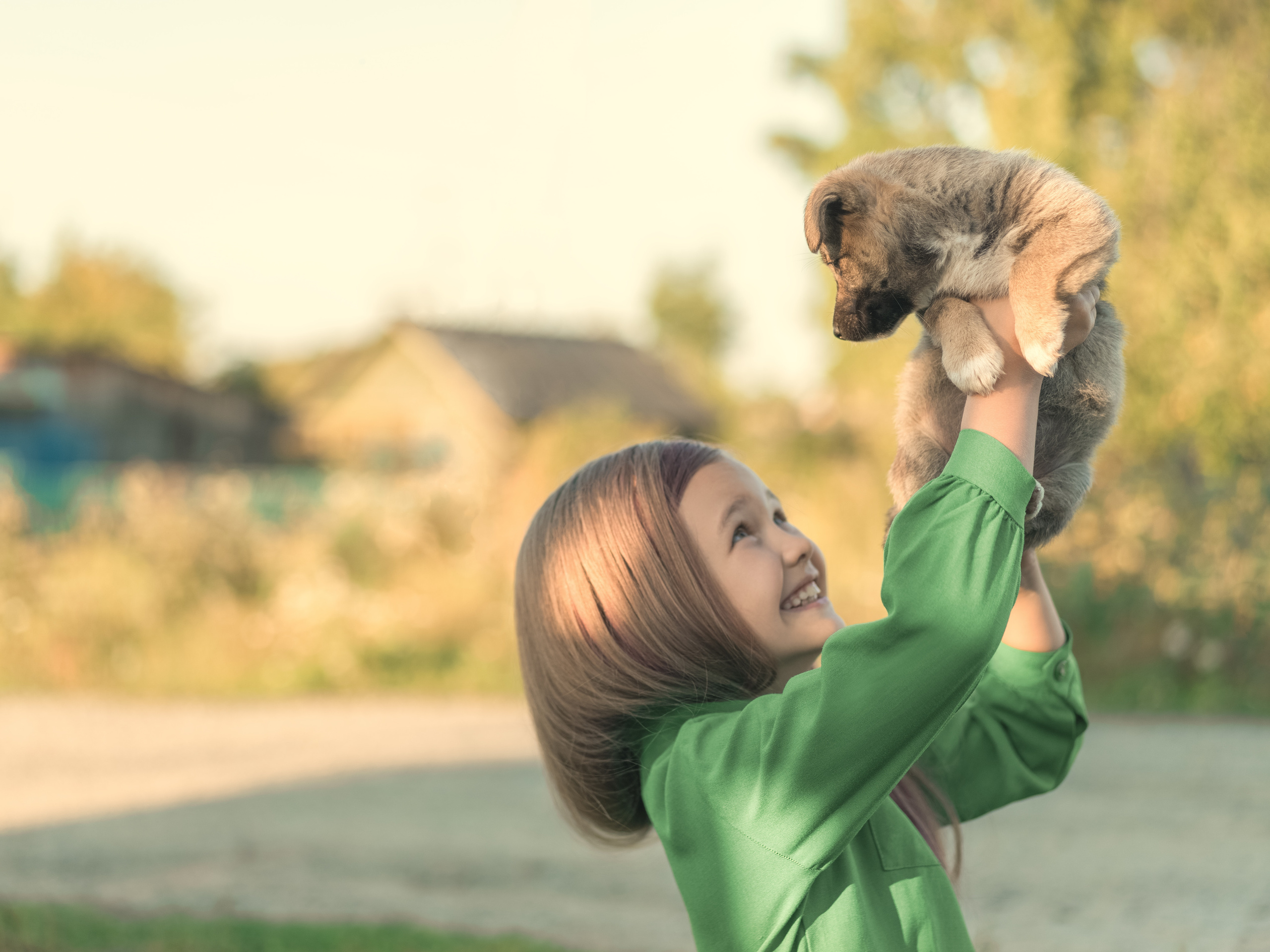 детский фотограф красноярск, детская фотосессия, детская фотосессия на природе, фотосессия с животными
