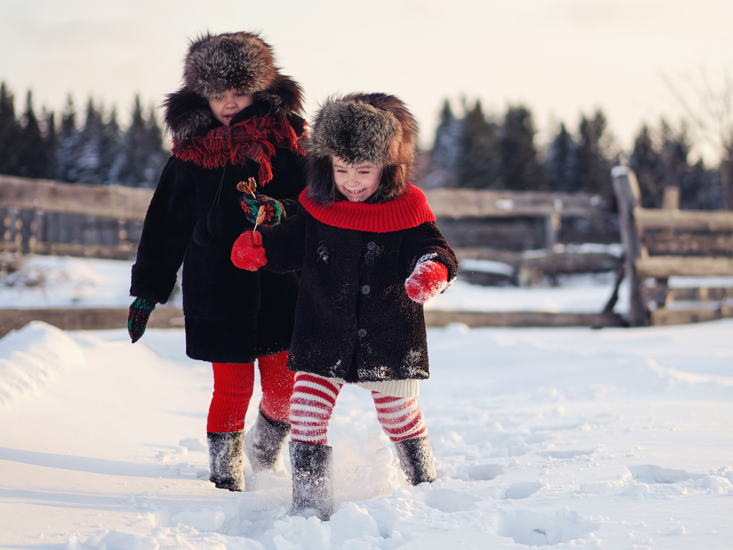 детский фотограф красноярск, детская фотосессия, детская фотосессия на природе