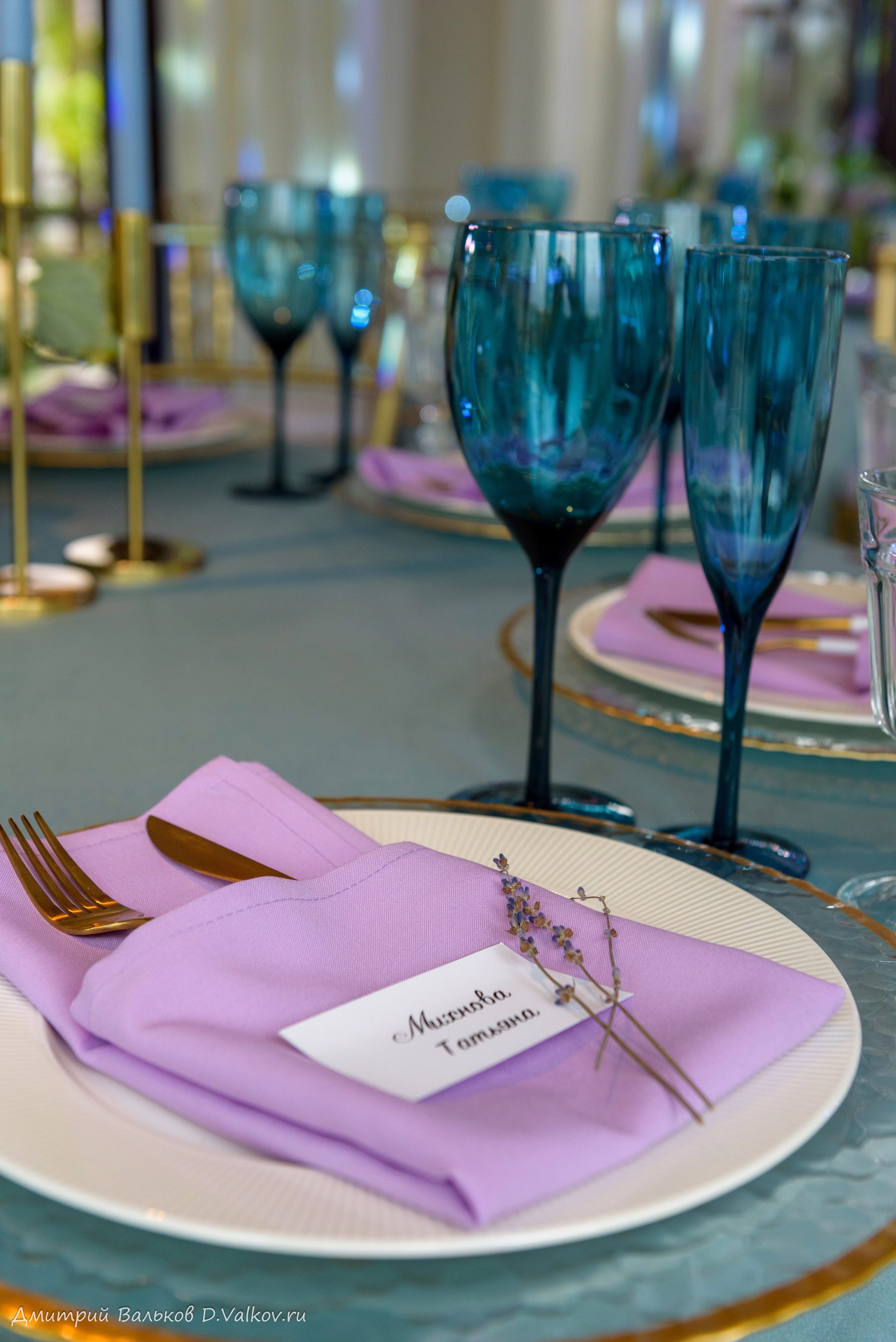 Прогулка, зал. Интерьерный и репортажный фотограф в Краснодаре Дмитрий Вальков