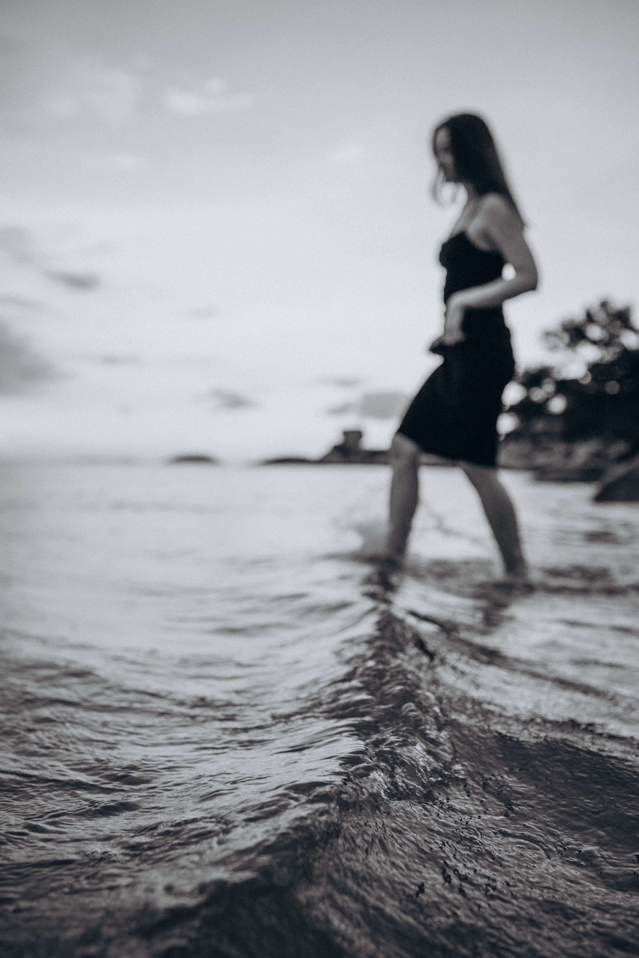 Лилия «сад камней» Вьетнам. Главная