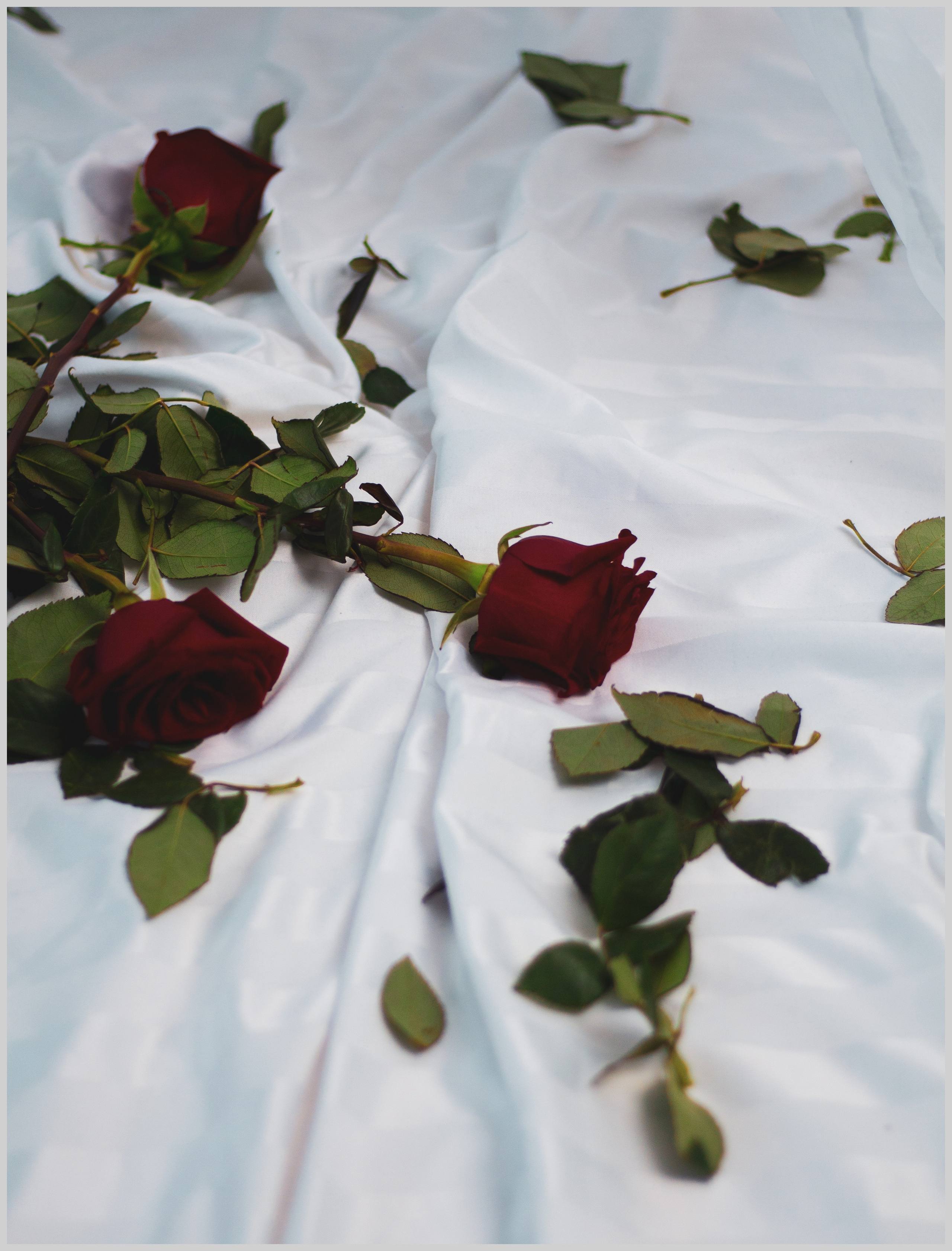 Парная съемка — Юлия и Сергей. Портретный фотограф в Орле. Готовые фото за 3 дня! Помощь в позировании. Советы по организации