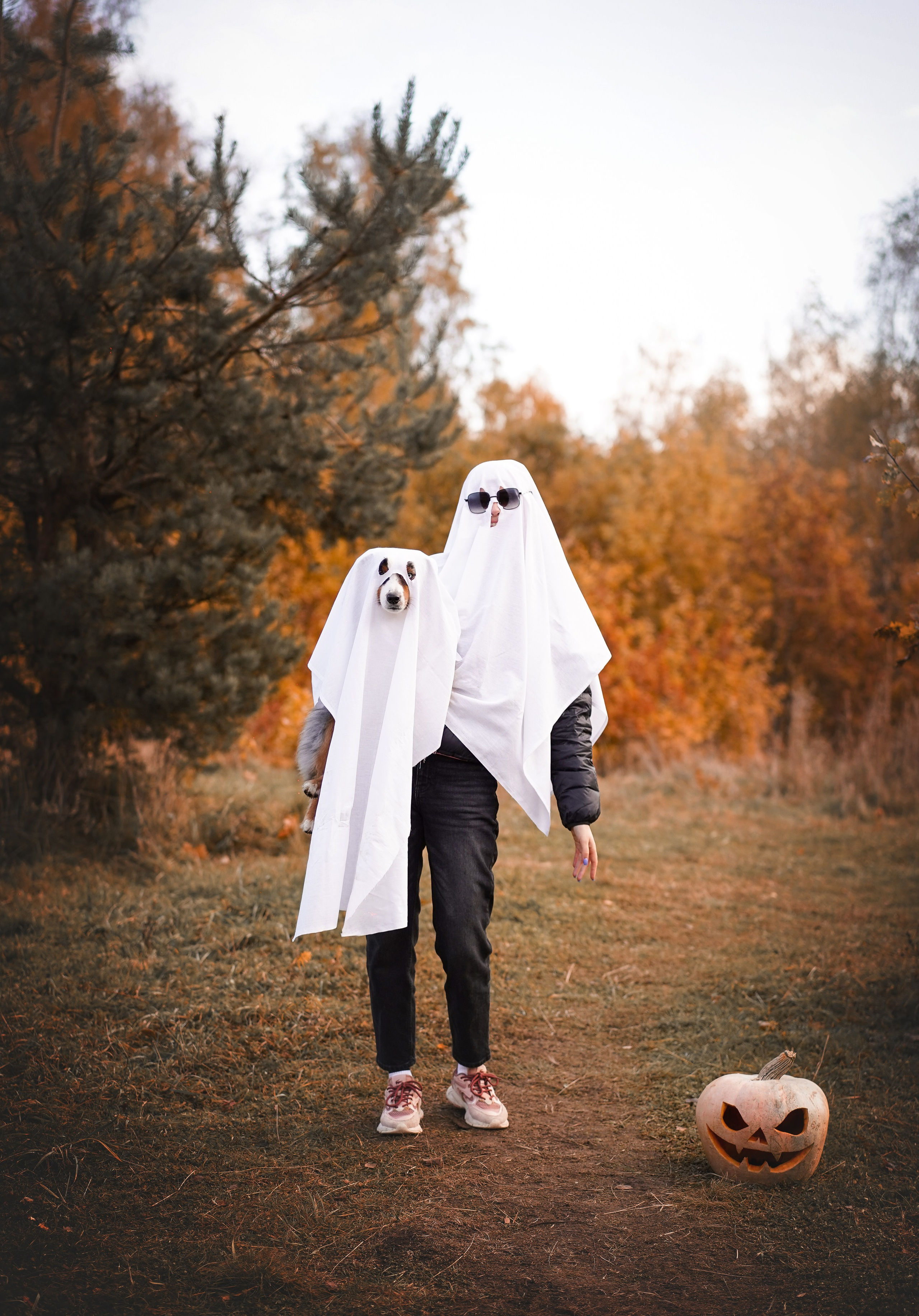 Фотодень Хэллоуин 2025. Фотограф-анималист в Санкт-Петербурге Яна Мартынова