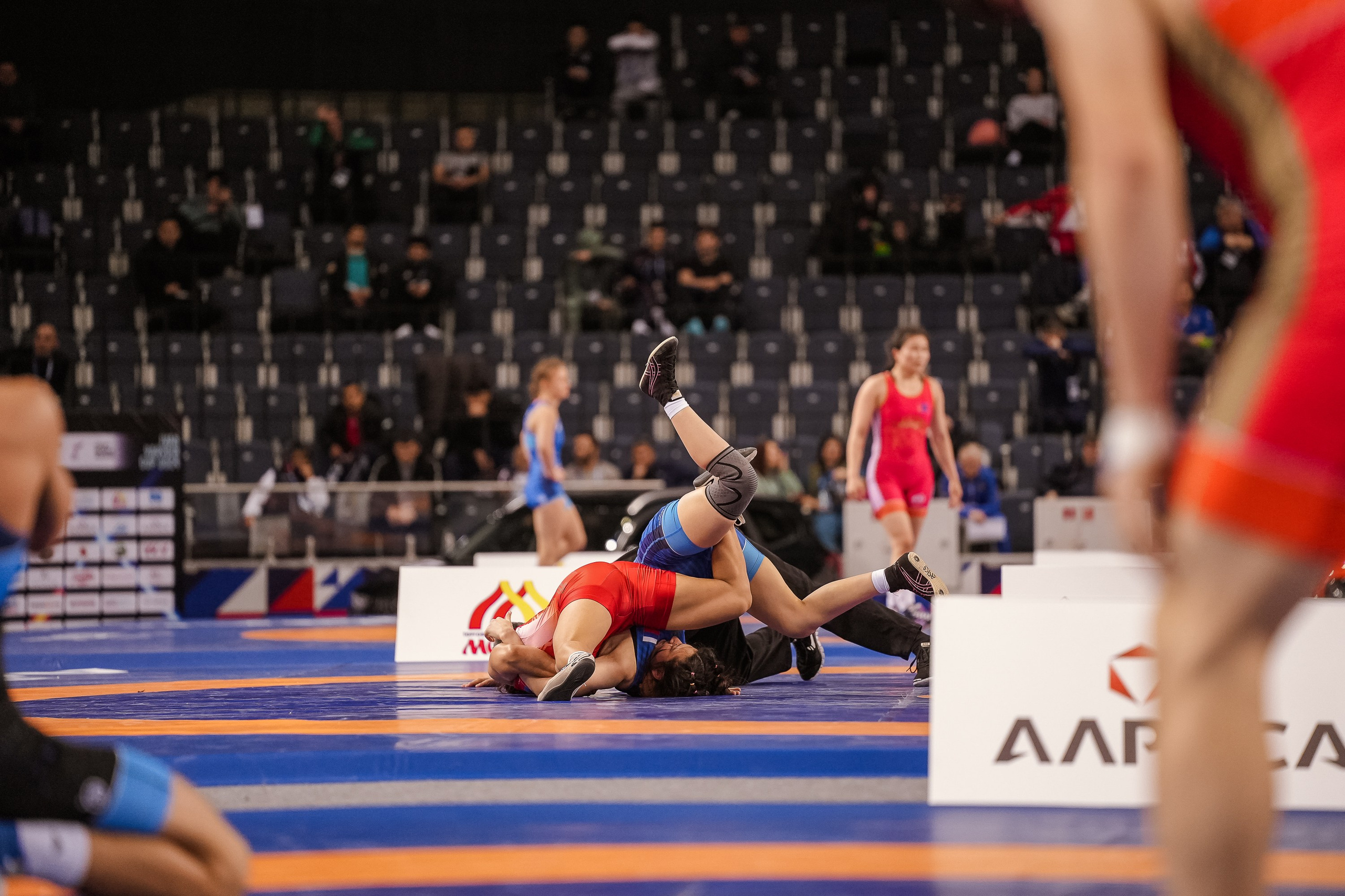 Кубок Ивана Ярыгина 2024 фото / Ivan Yarygin Cup 2024 photos. Фотограф Анна Герман. Красноярск