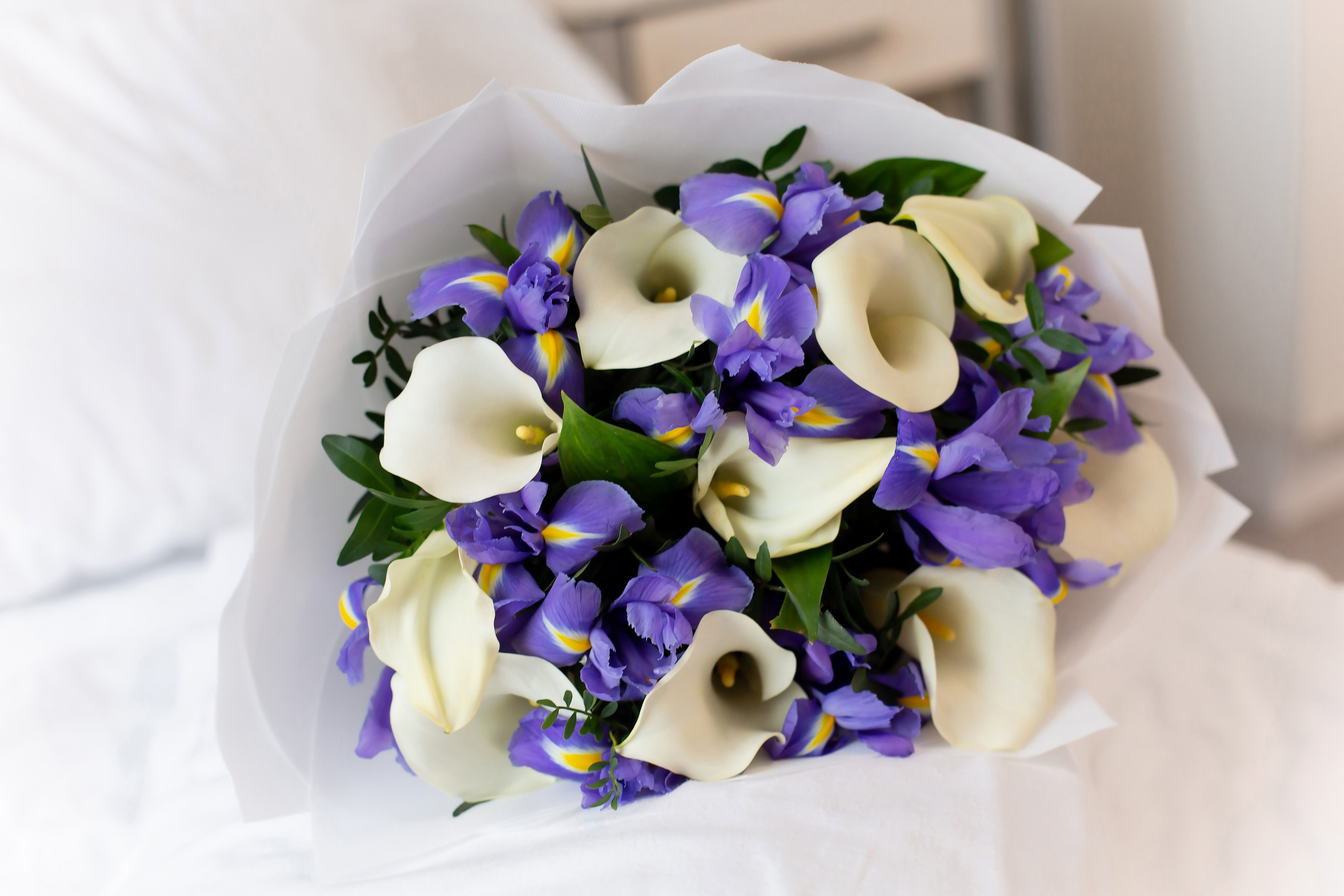 Фотосессия выписки из роддома Лахты. Татьяна Нагорнова — семейный фотограф в Санкт-Петербурге