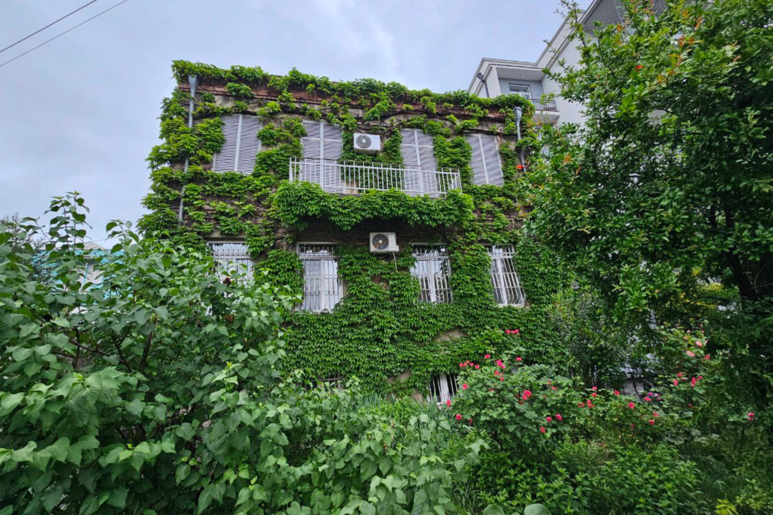 Мария Кутузова, Вера Санина-Гвоздикова