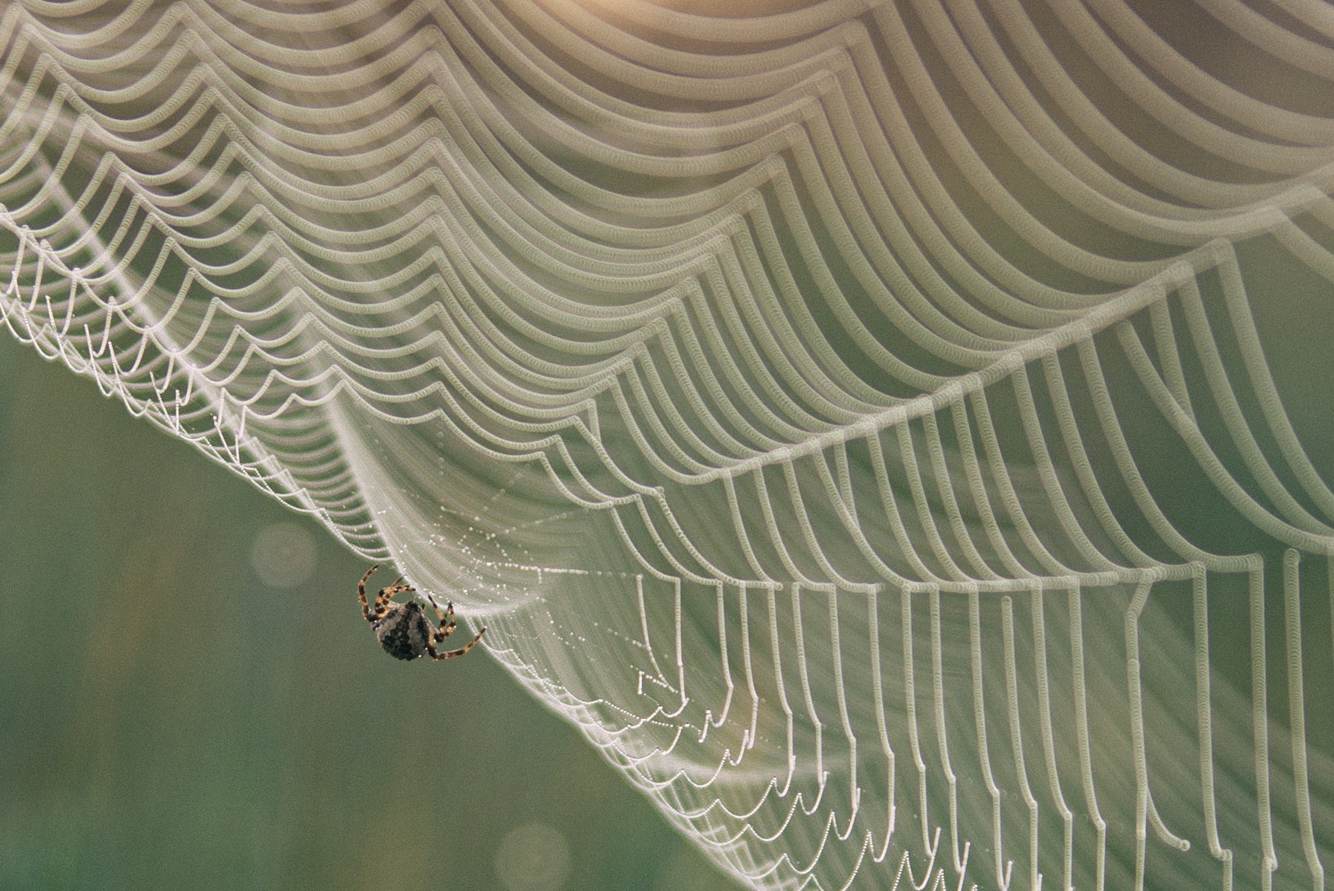 Фотопленэр — Подвальские террасы и болото. Фотообъединение Самарского областного отделения Союза журналистов России