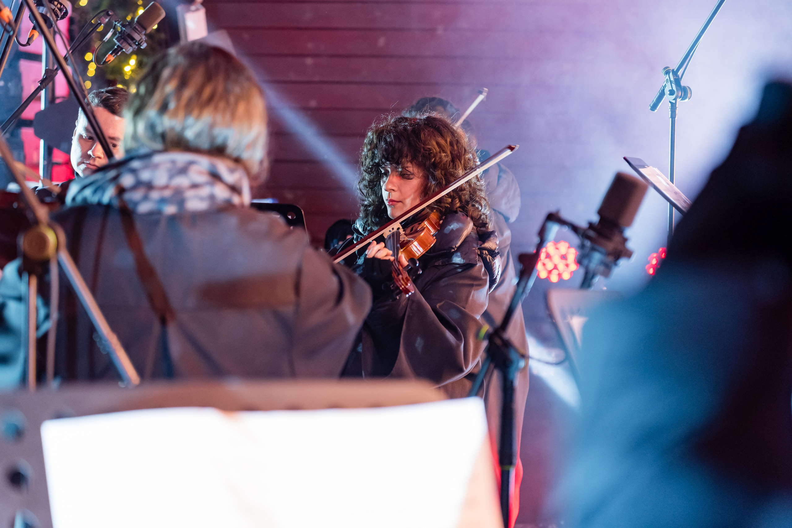 Ледяная симфония. Сад им. Баумана. 04.01.2025