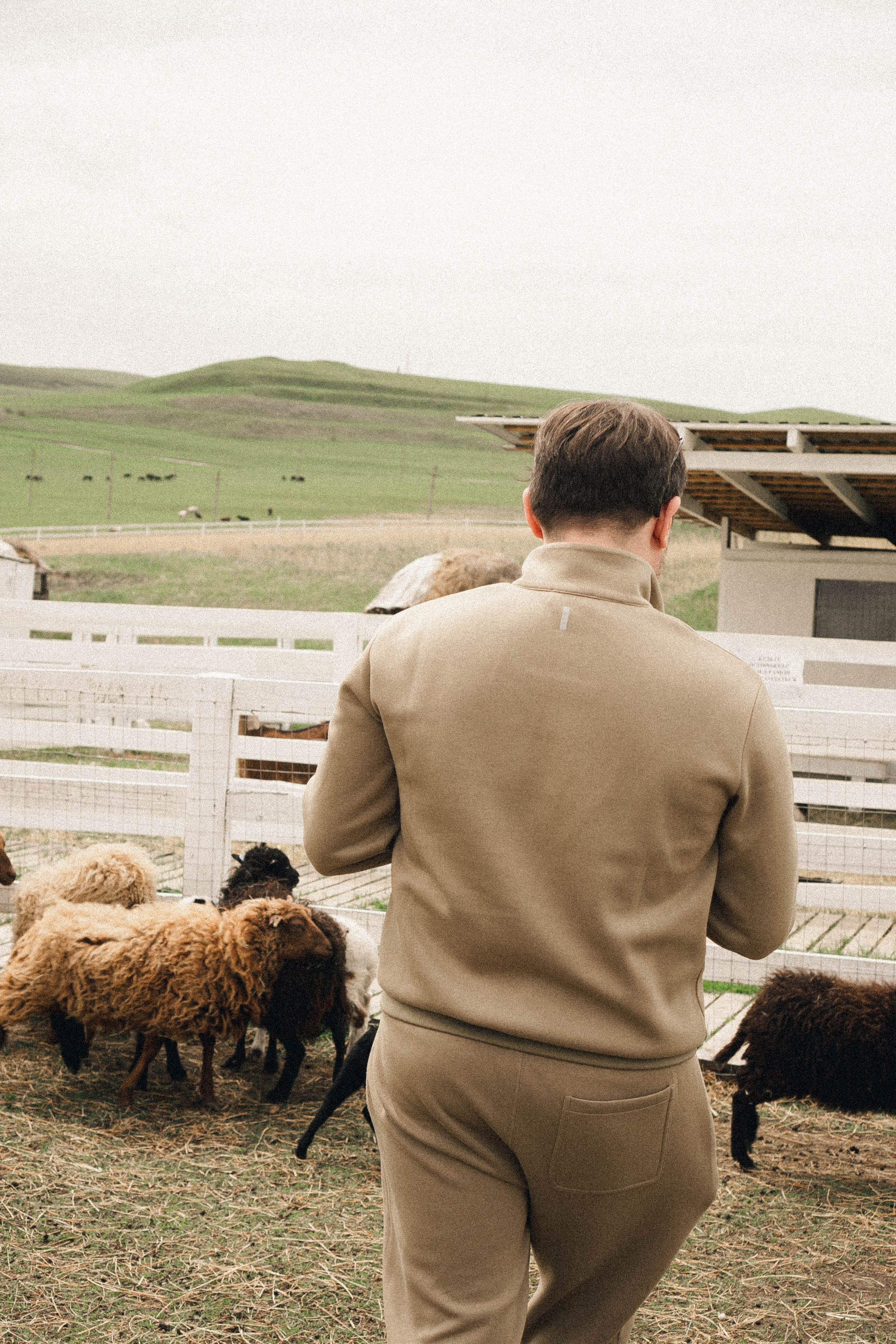 Ферма Альпак. Профессиональный фотограф, Санкт-Петербург — Виктория Богомолова