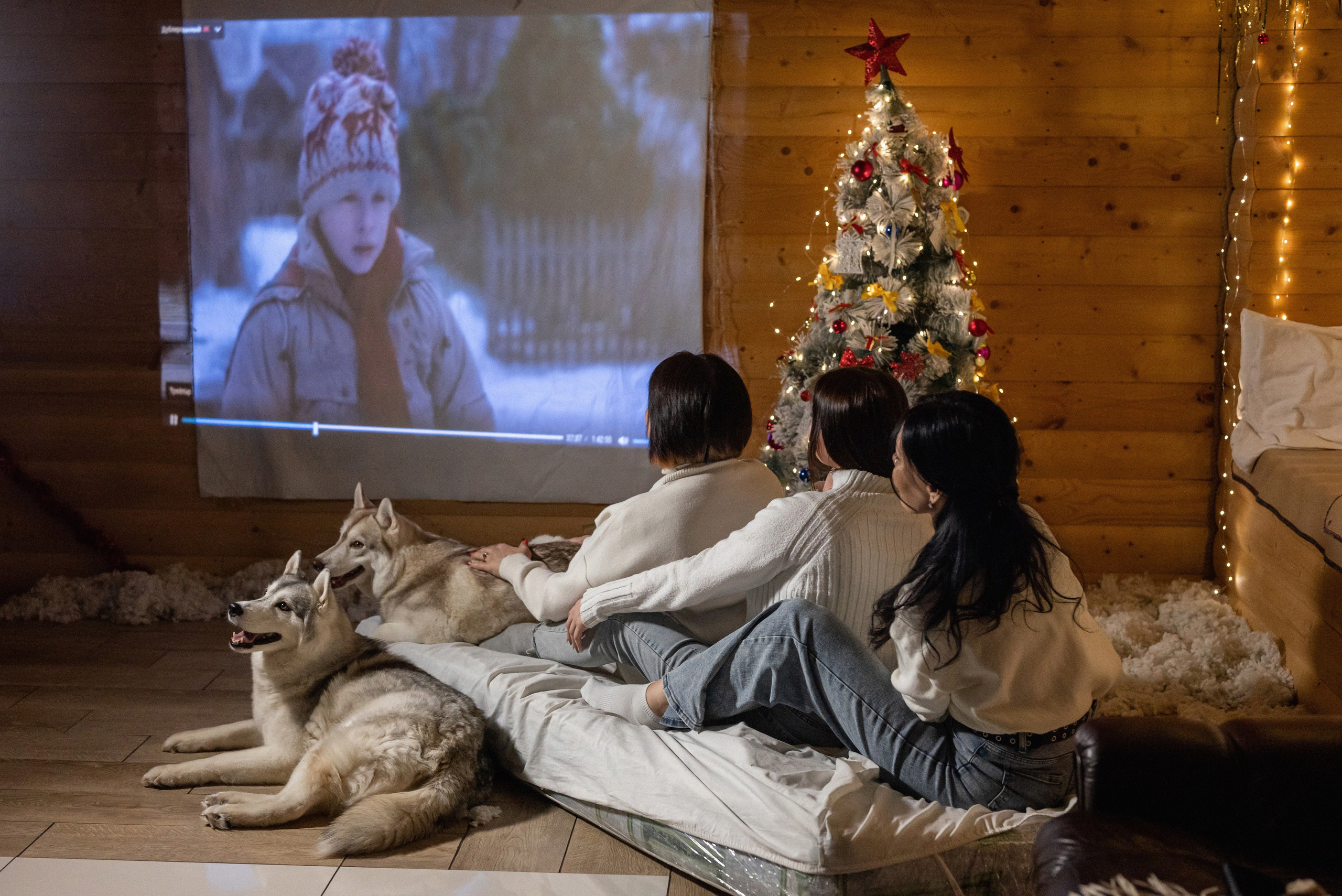 Фотопроект с хаски 2025 г. Фотограф в городе Салават