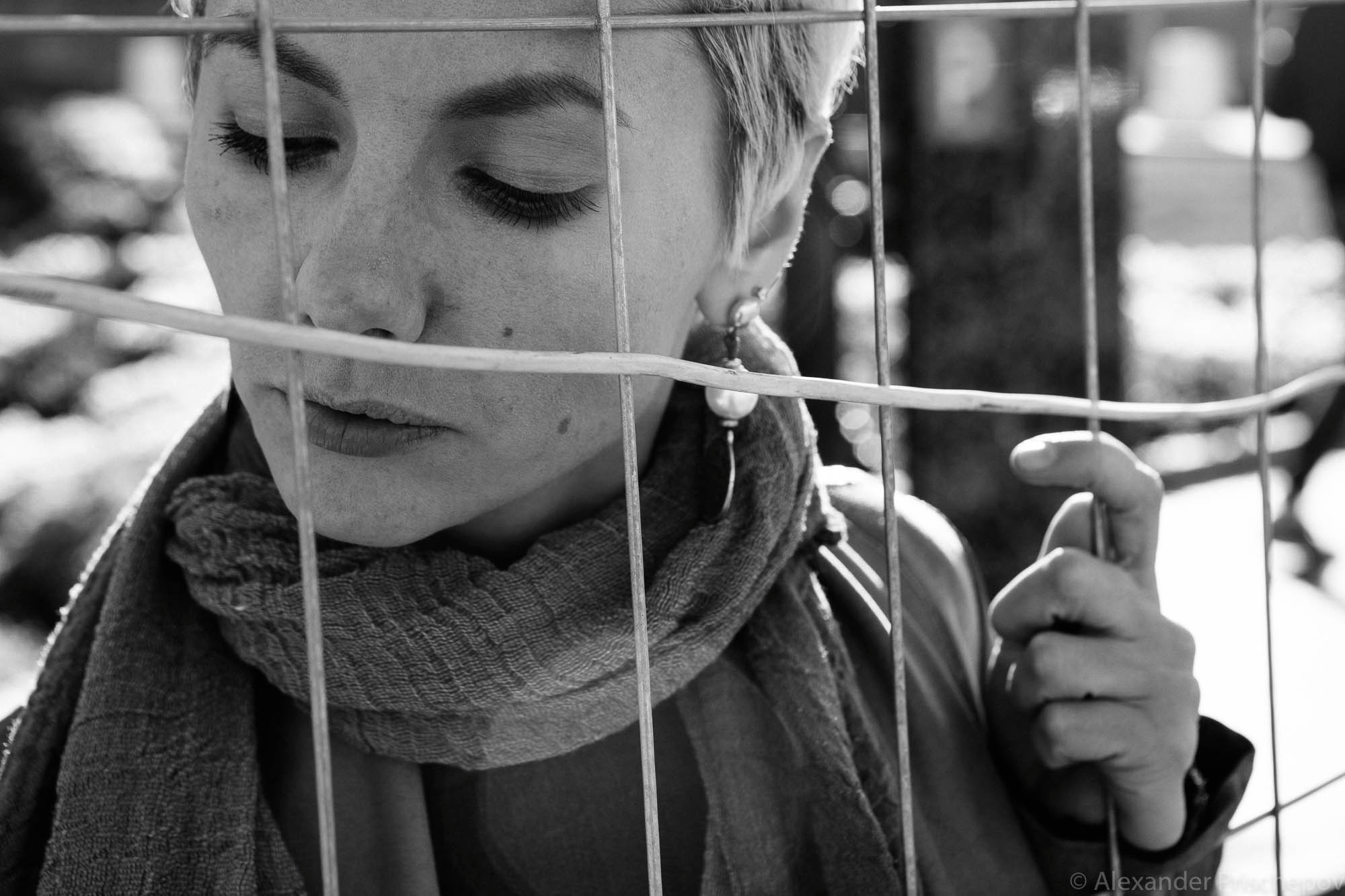 Осенняя прогулка с Чайкой. Александр Прищепов - фотограф, режиссёр, продюсер