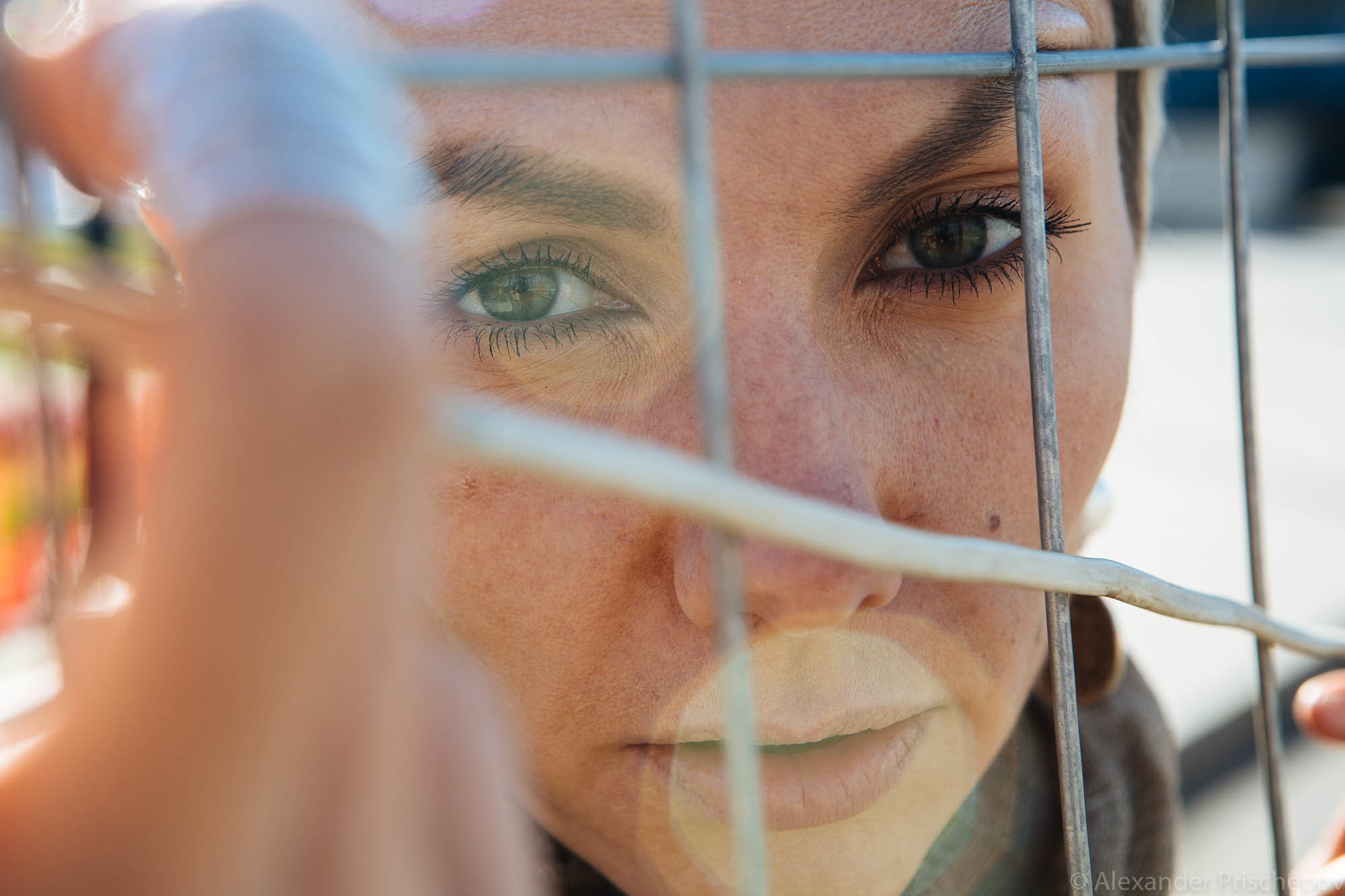 Осенняя прогулка с Чайкой. Александр Прищепов - фотограф, режиссёр, продюсер