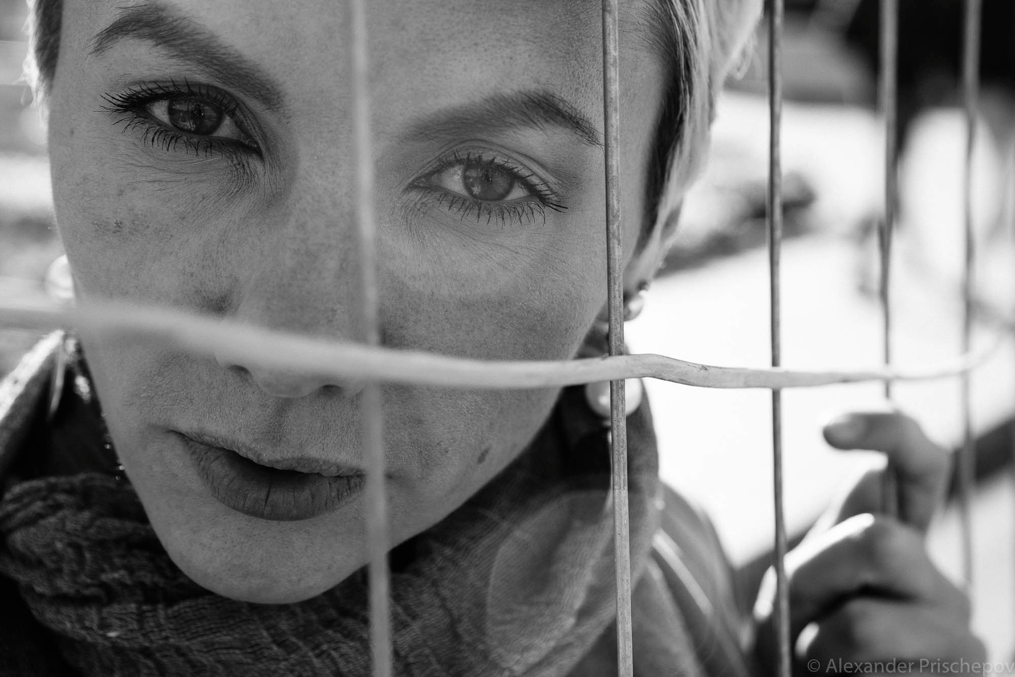 Осенняя прогулка с Чайкой. Александр Прищепов - фотограф, режиссёр, продюсер