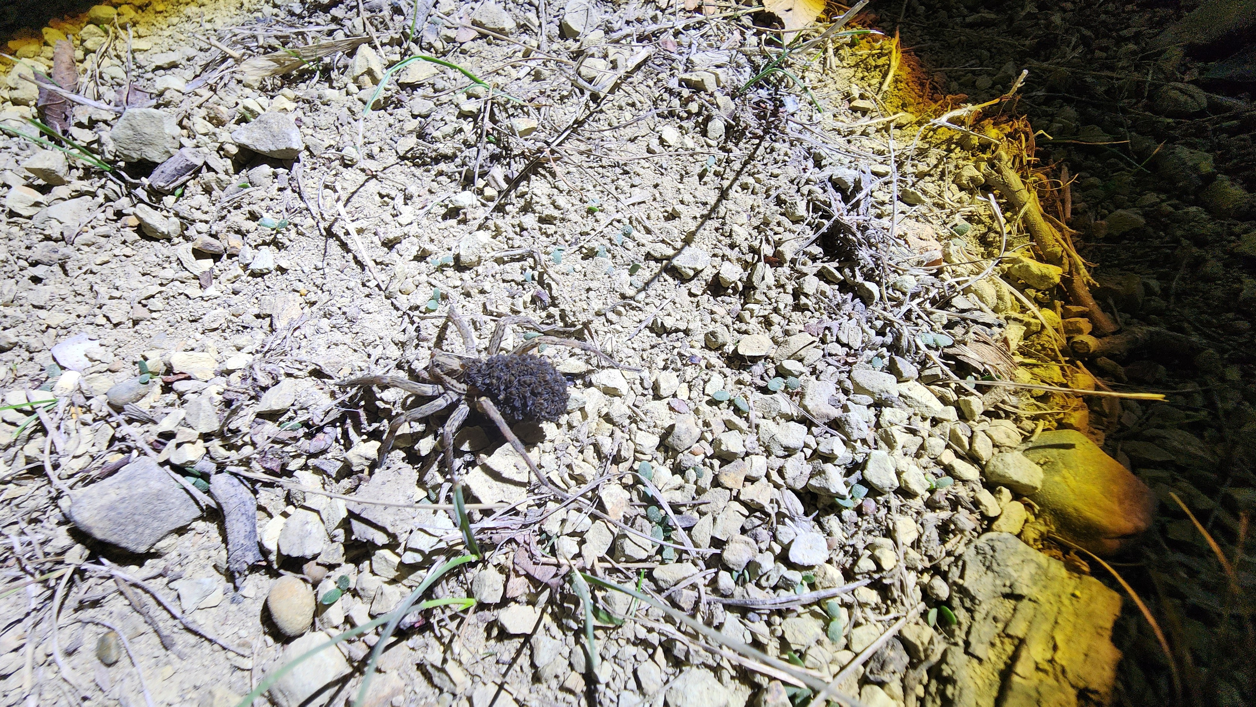 Горячий Ключ (2024-09-20). Собор Отрасли